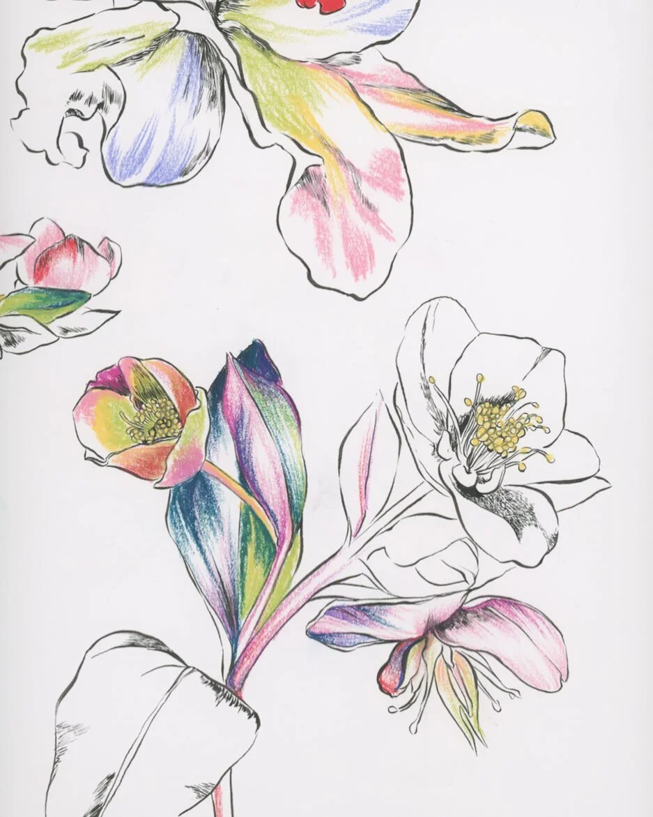 Colored pencil and ink florals #printdesign #textiledesign #floral