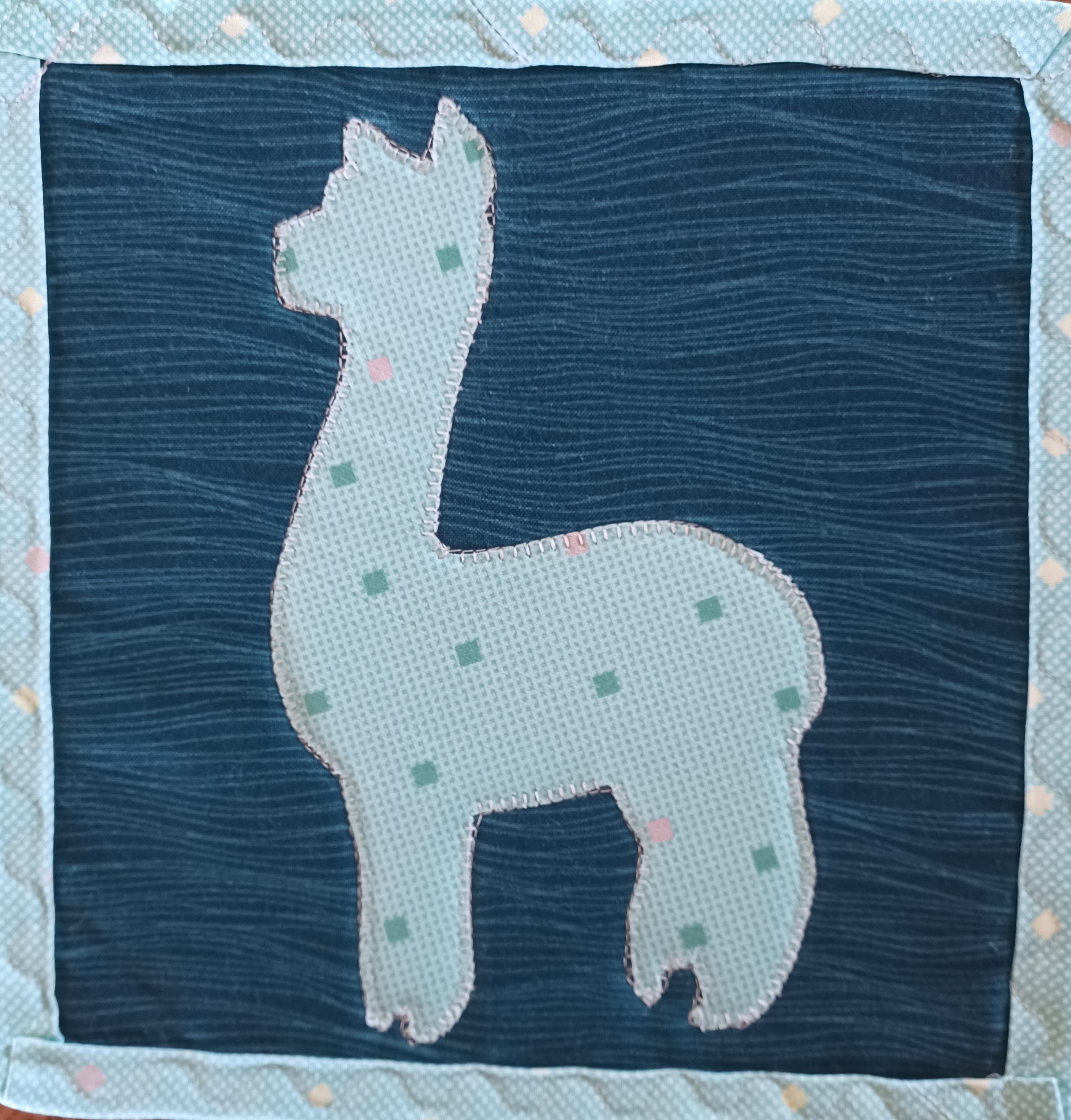 Alpaca.jpg