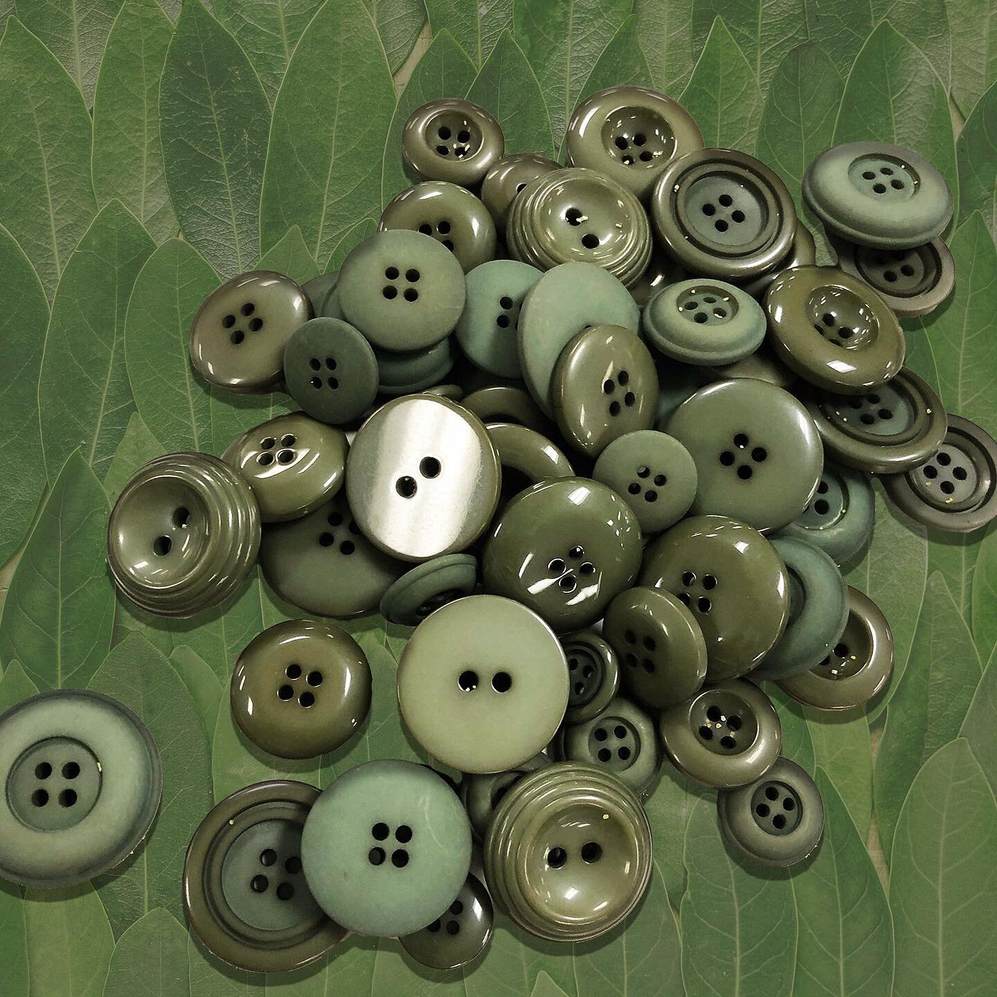 We are ready for fall with all these olive buttons 💚💚 love all the shades of green in both matte and shiny finishes 🍃☘️🌵
.
.
.
.
#button #buttons #fashion #trims #newproduct #fall #prefall #fashionweek #fashionphotography #fashionkilla #fashionis