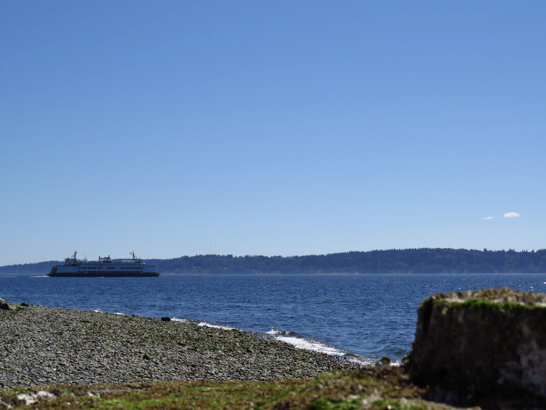 Get To Know West Seattle