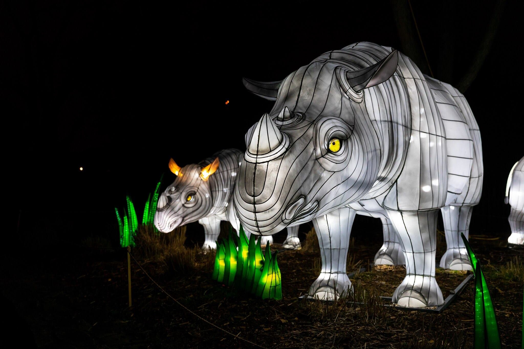 10 Ways To Enjoy the Pacific Northwest this Holiday Season