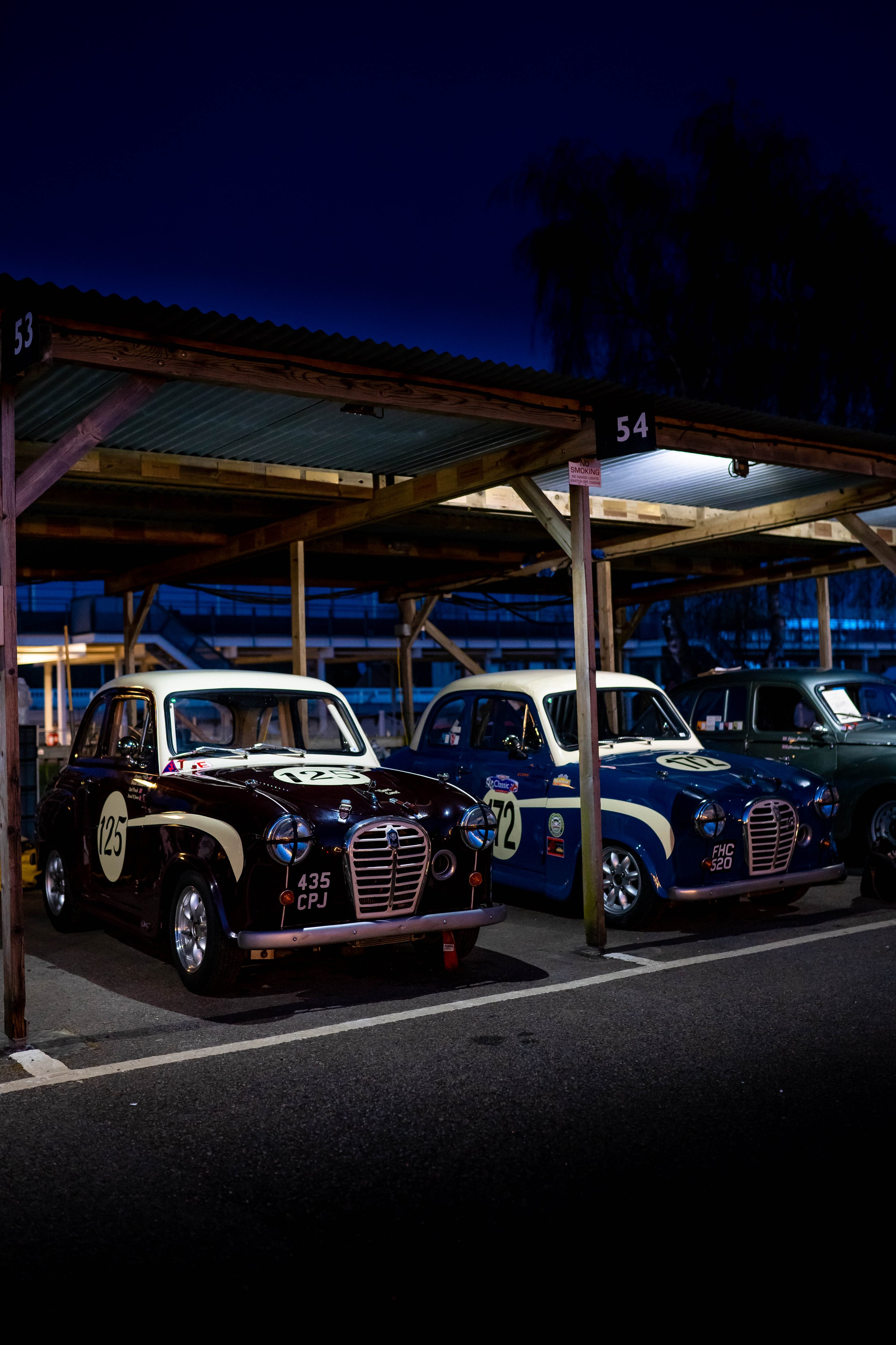 Night Paddock-30.jpg