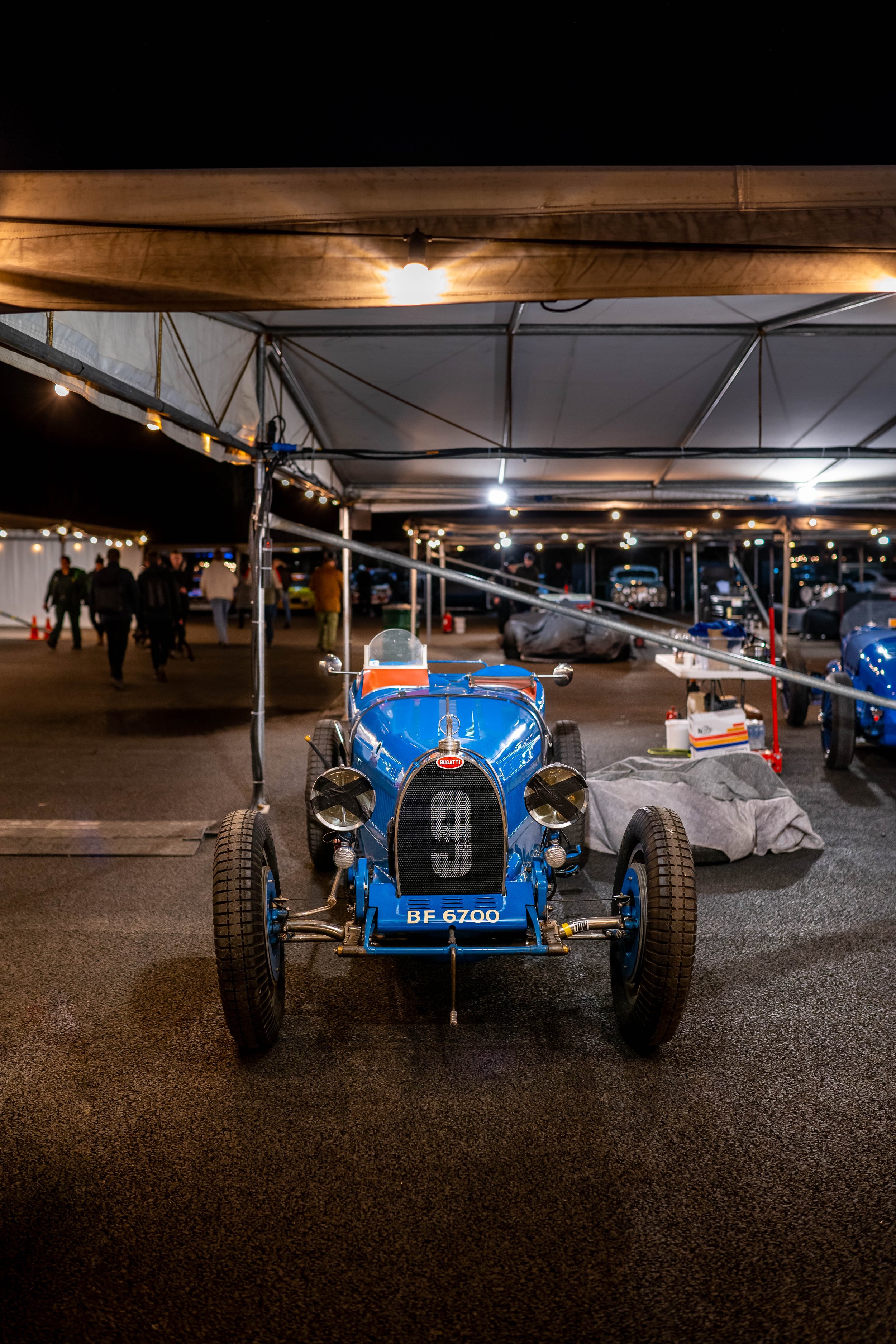 Night Paddock-22.jpg