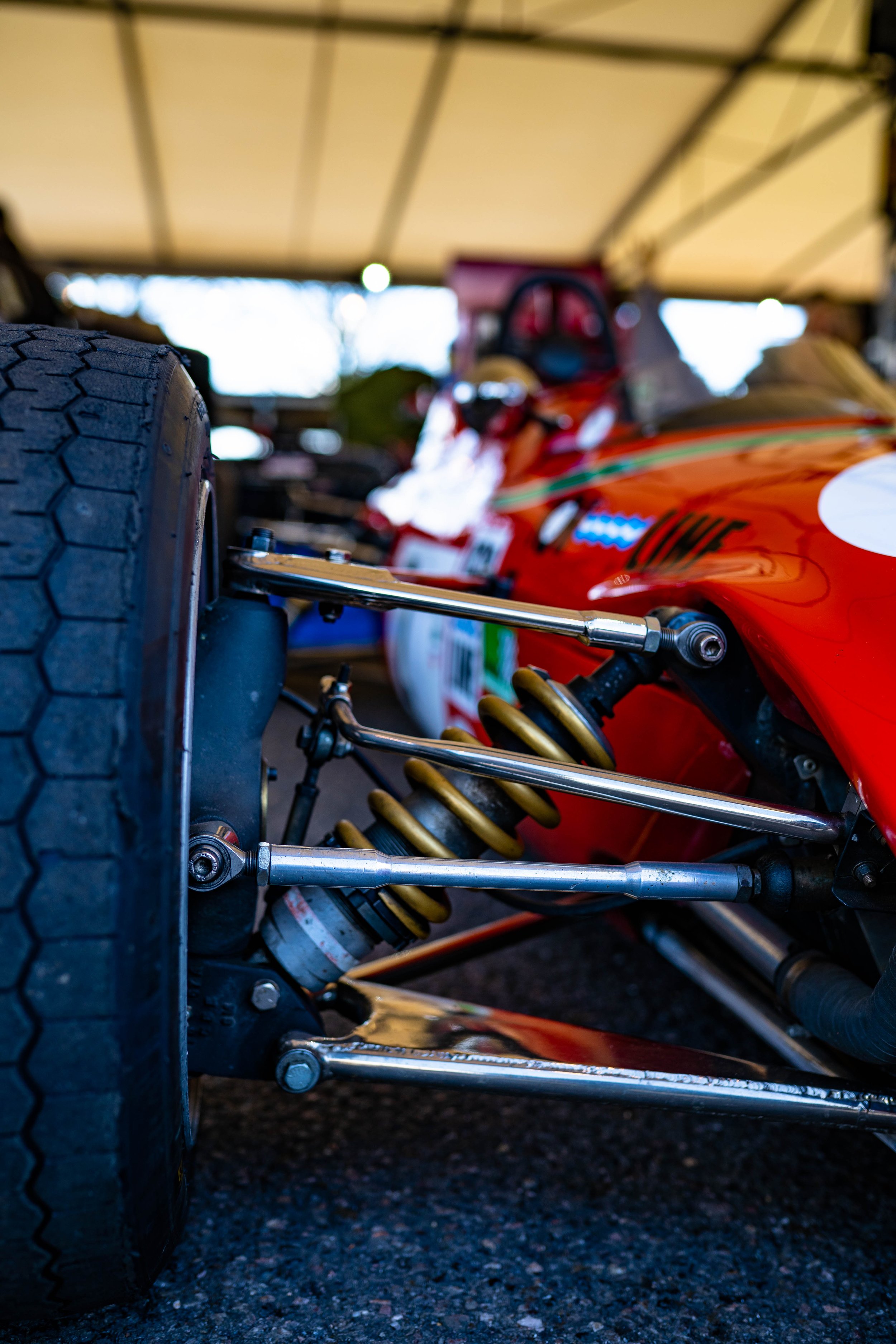 Day Paddock-21.jpg