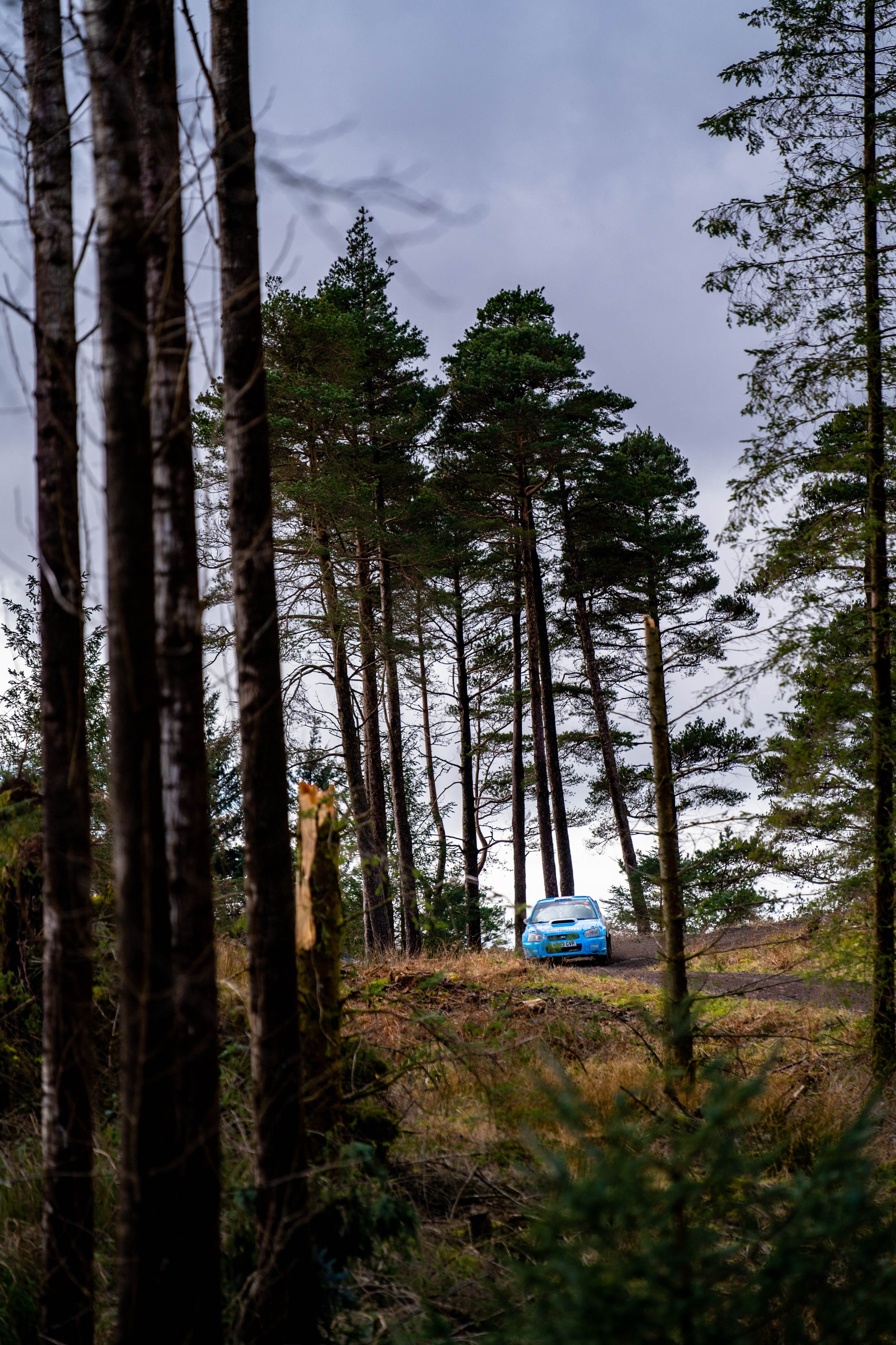 Malcolm Wilson Rally-50.jpg