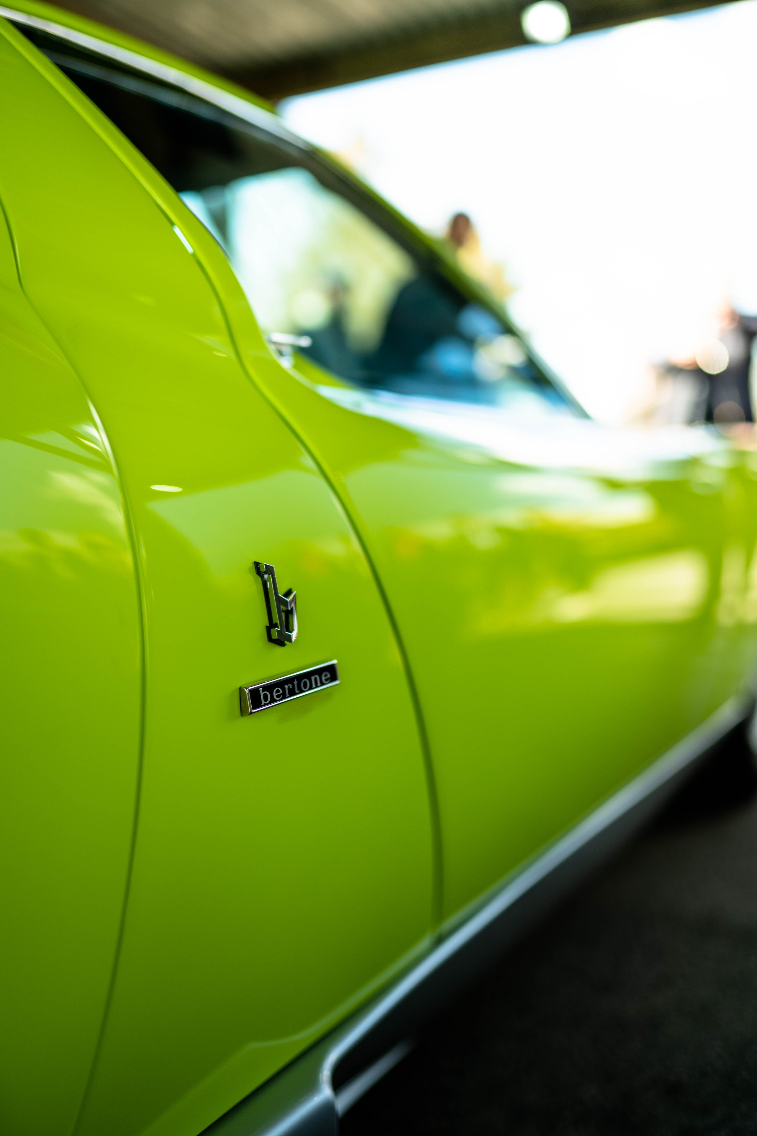 Day Paddock-32.jpg