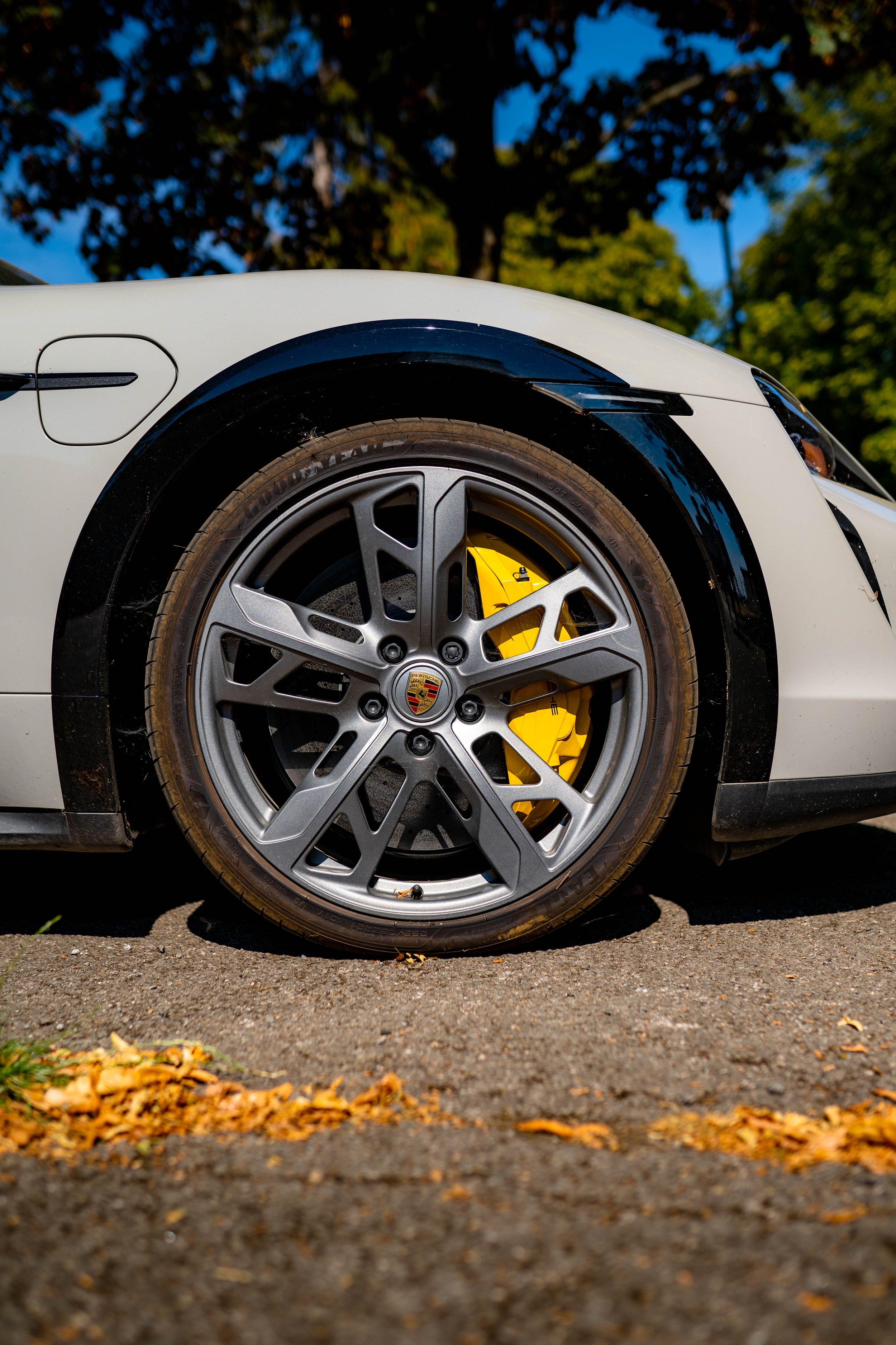 RollHard 2022-44.jpg