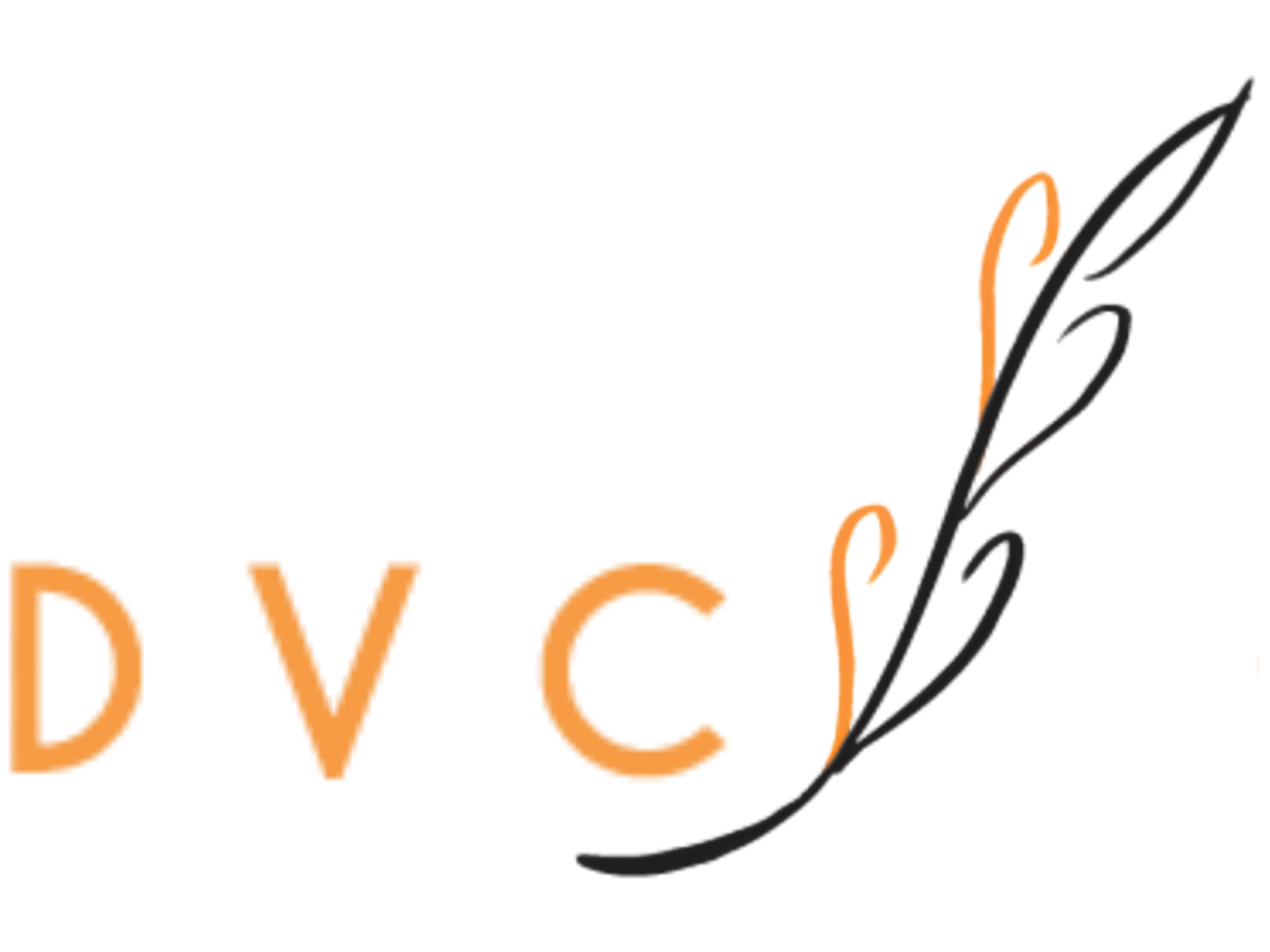 Distinctive Voice Consulting