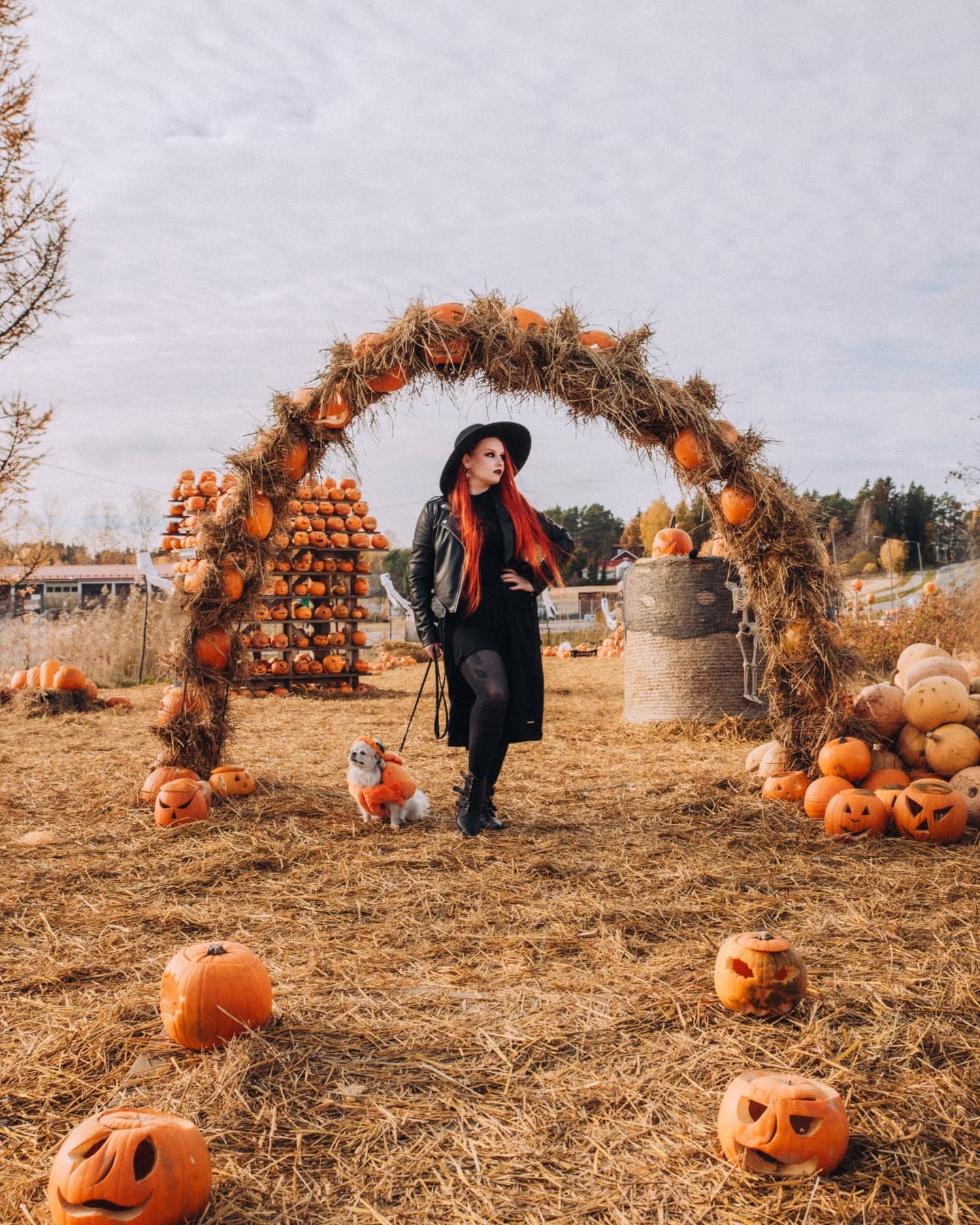 Happy Halloween and pumpkin season! 🎃🕸️👻

Model &amp; MUAH: @mary_annofficial and Ylva the pumpkin doggo 🥰

#kurpitsaviikot #pumpkinpatch #valokuvaajanaiset #valokuvaajahelsinki #visitsalo #halikko #rannikonpuutarha #halloween #dogsofinstagram #i