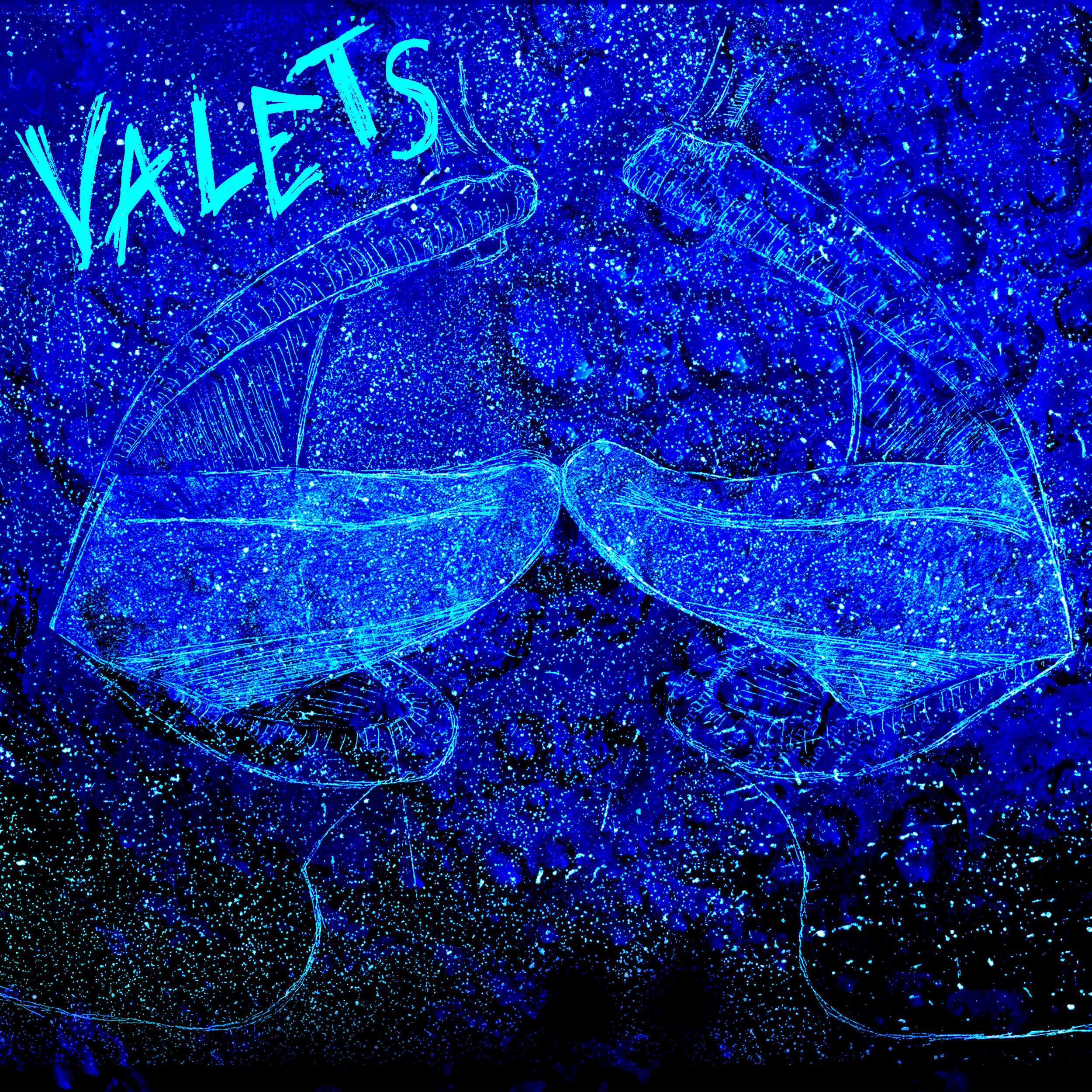 Valets - The Bottom (2015)