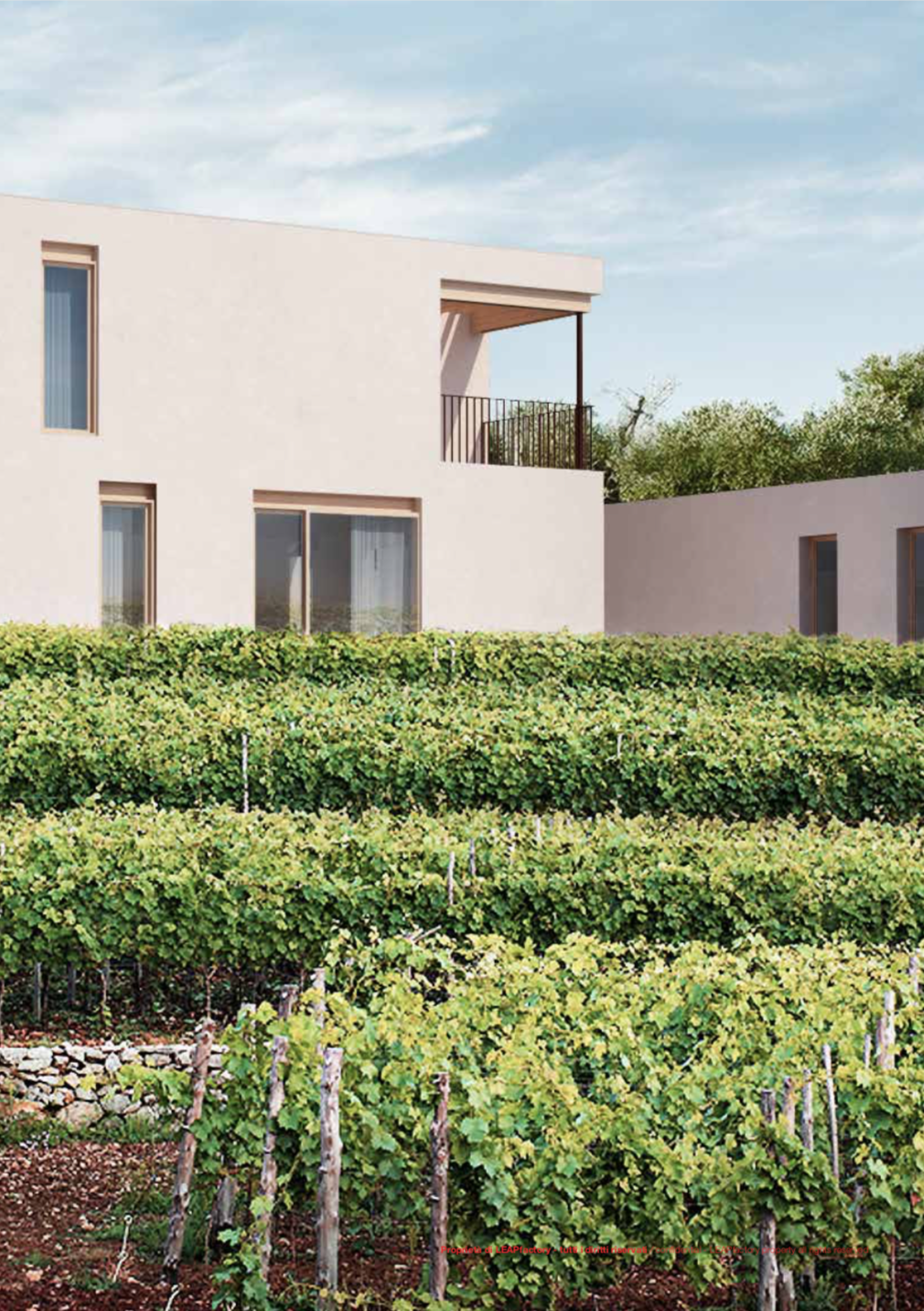 Leap_Modern_Image 3.png