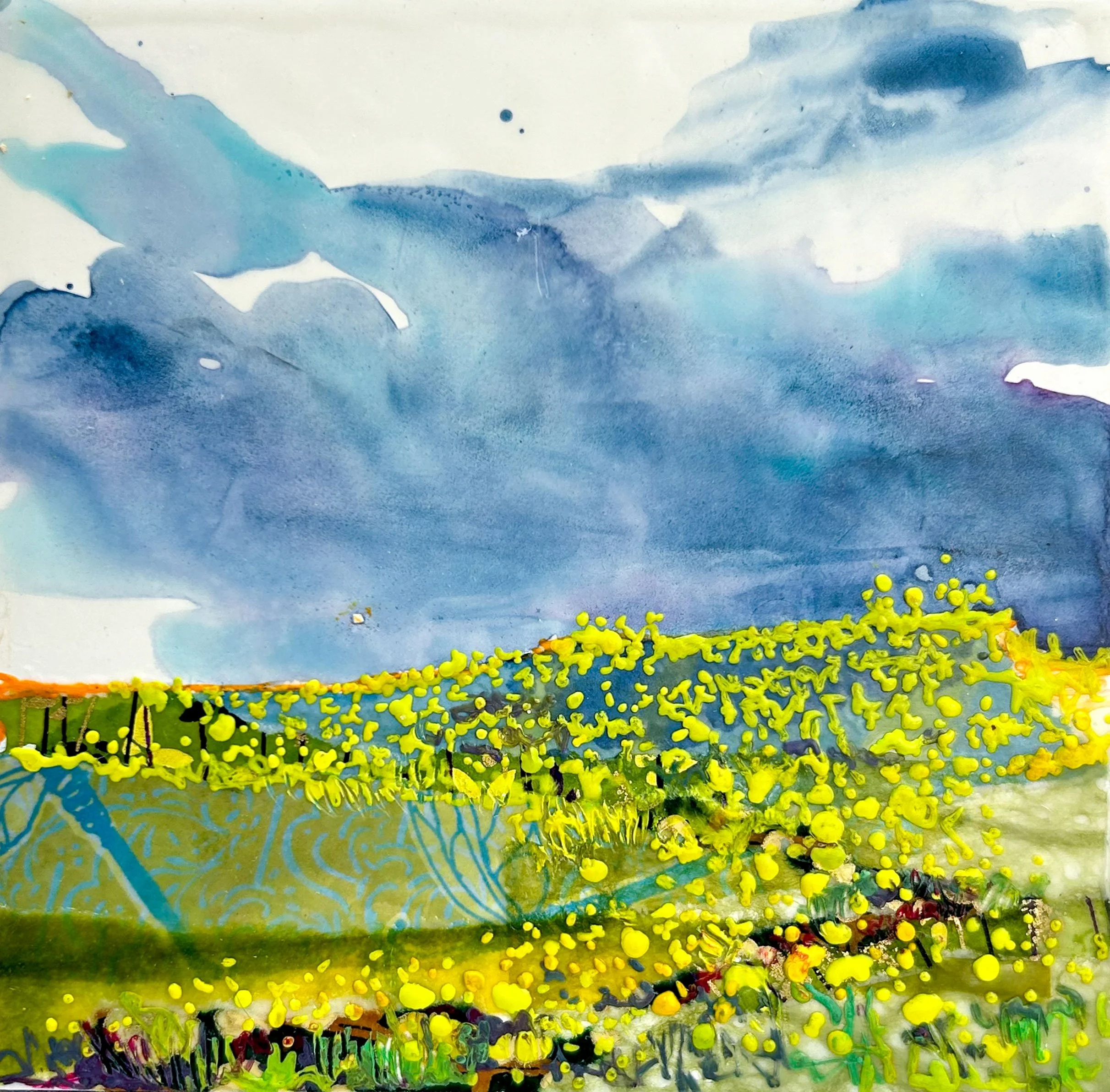 Canola Splash by Diane Larouche Ellard