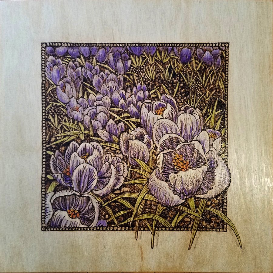 Spring Crocus by Marjorie Verleun