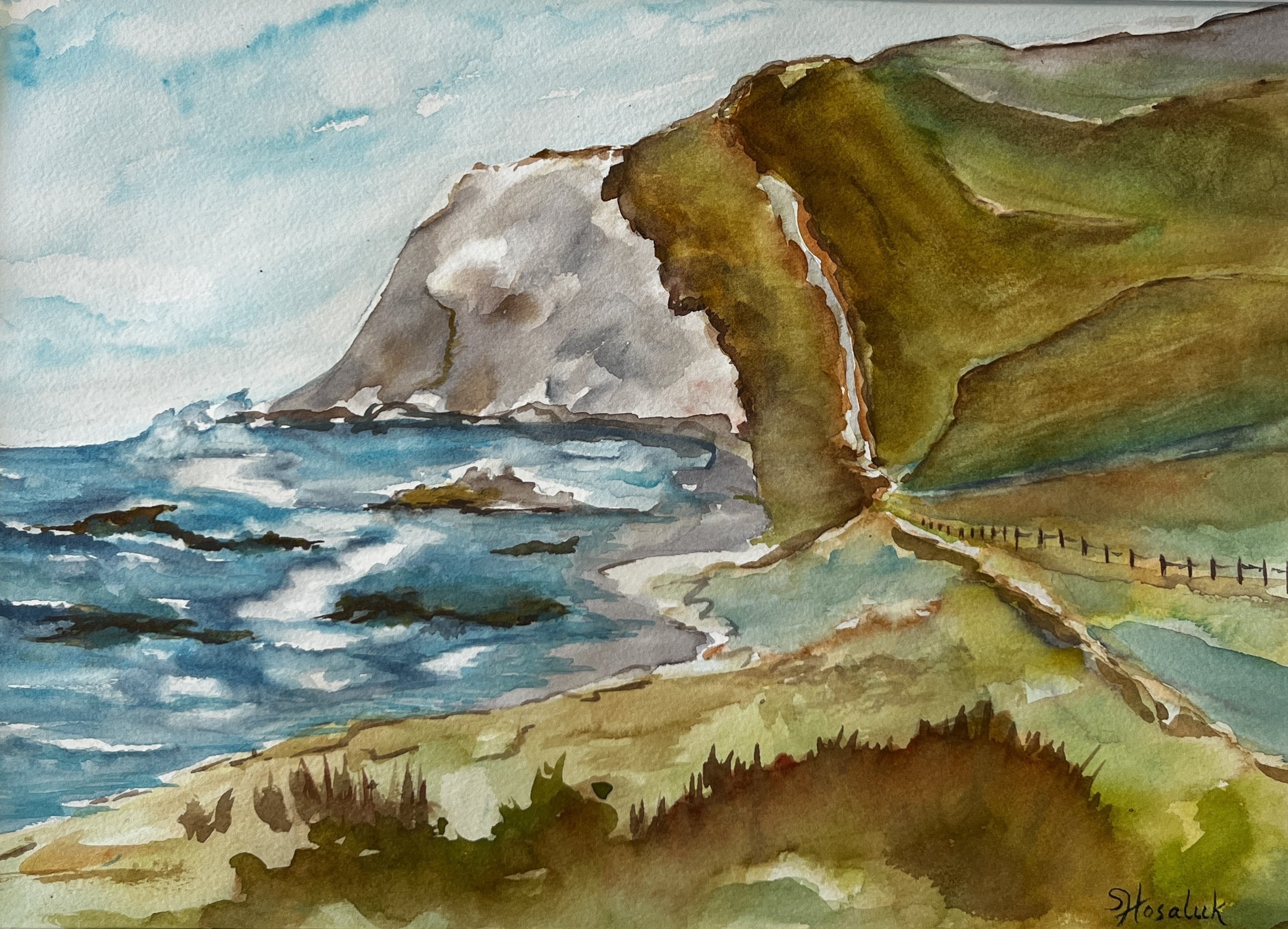 Coast by Shelley Hosaluk