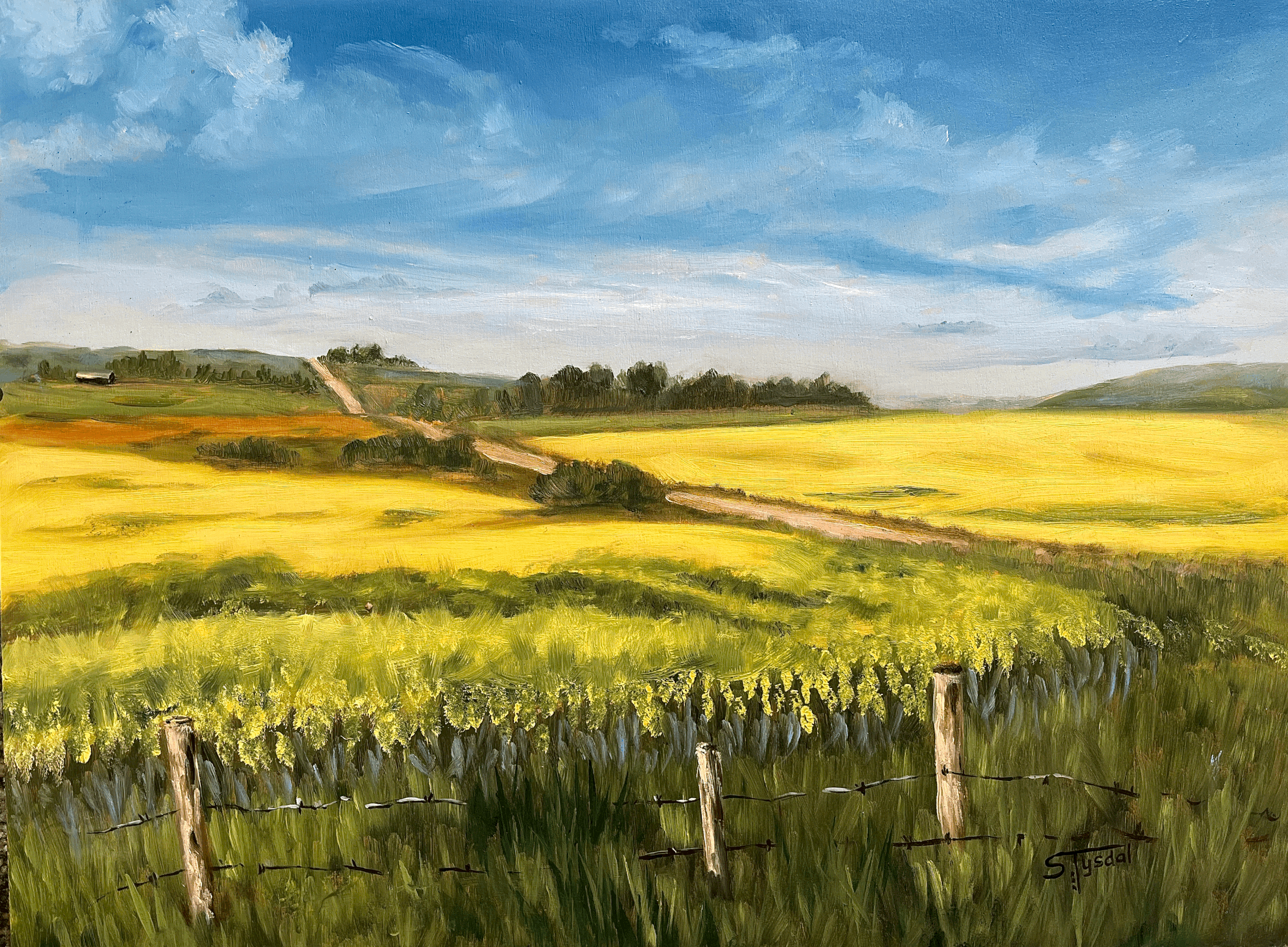 tempImagePDAeAc.gif (Copy)