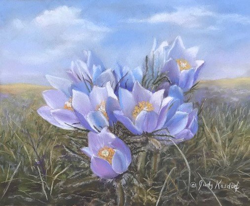 Prairie Gems by Judy Kasdorf