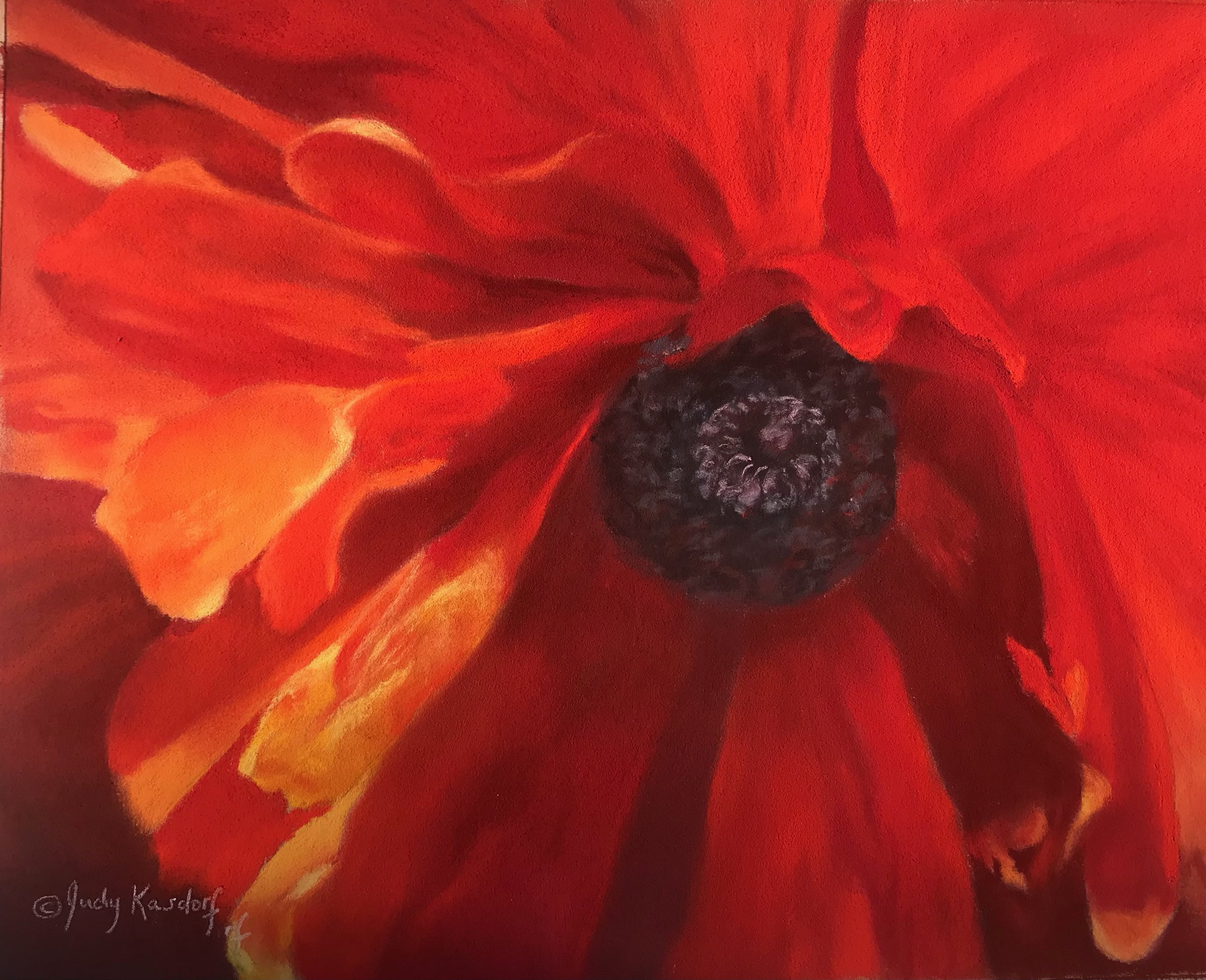 On Fire - Poppy by Judy Kasdorf