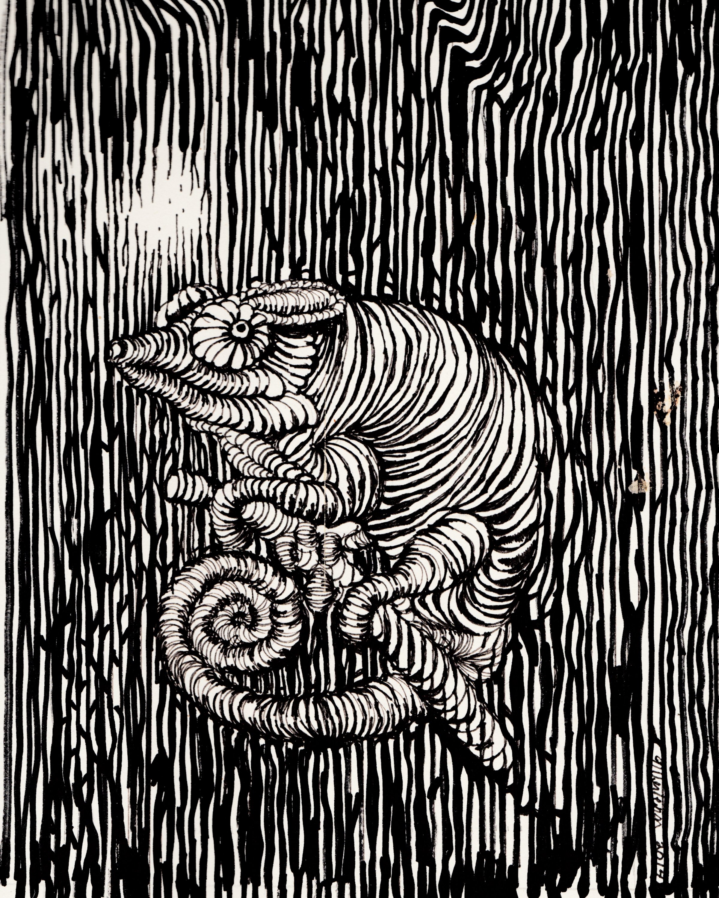3247AF73-819F-4458-AA83-917168A1831E.jpeg