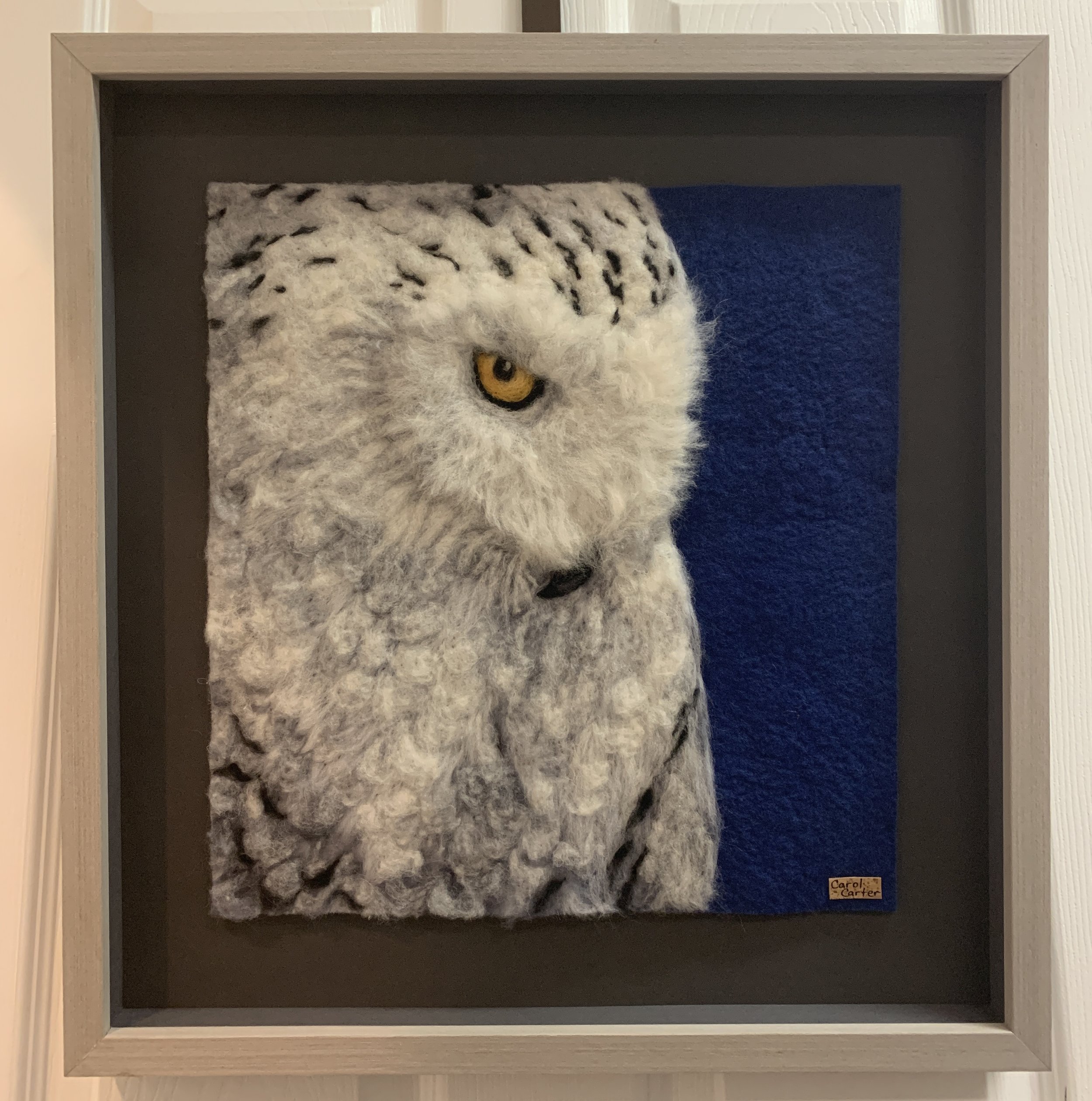 I've Got My Eye on You by Carol Carter