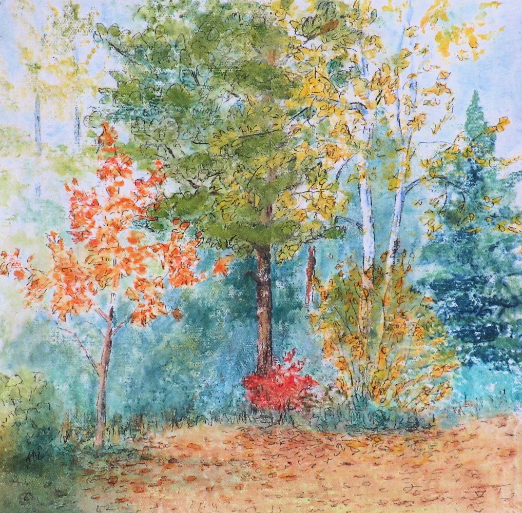 Colouring Up - Jane A. Evans