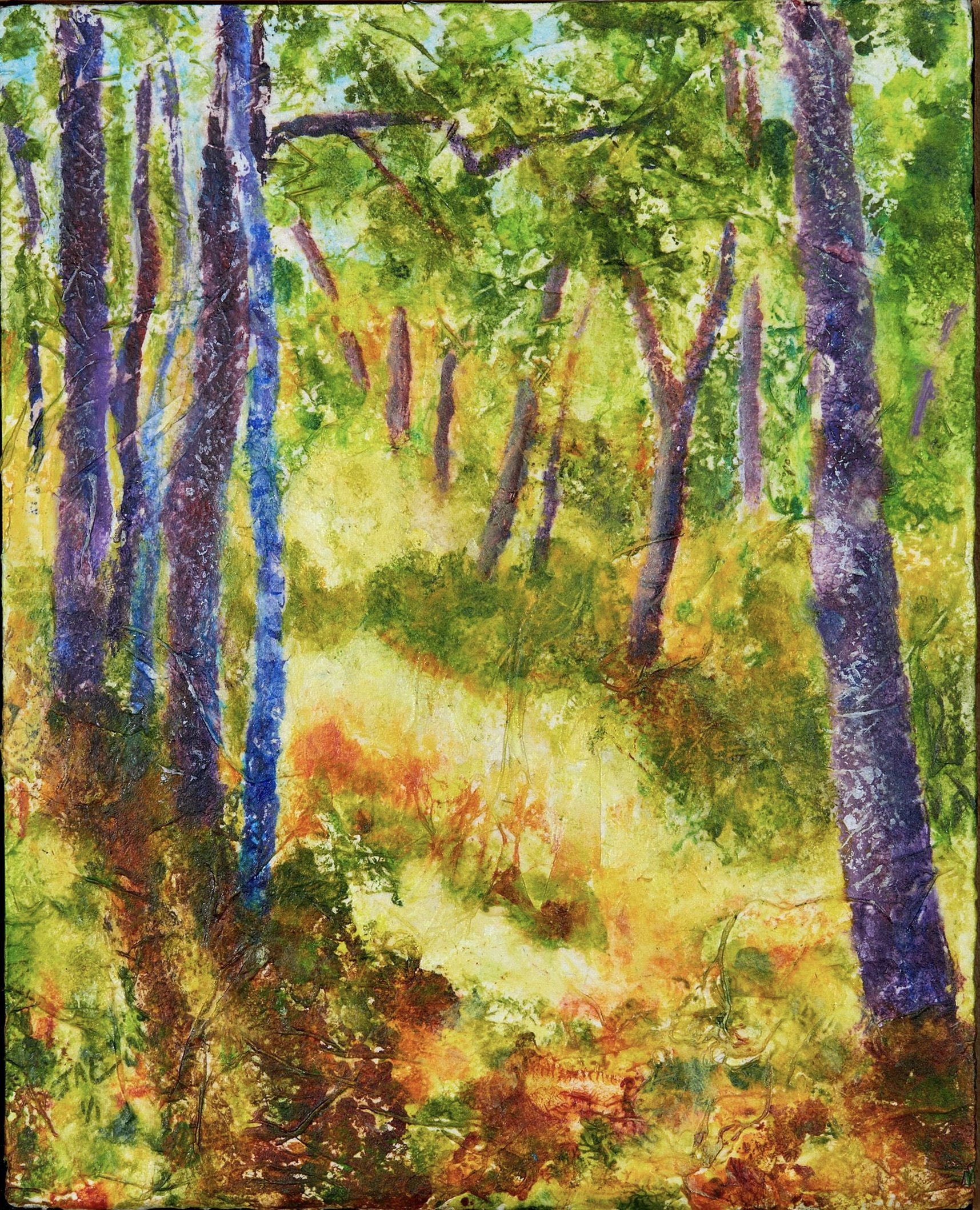 Sunny Pathway - Jane A. Evans