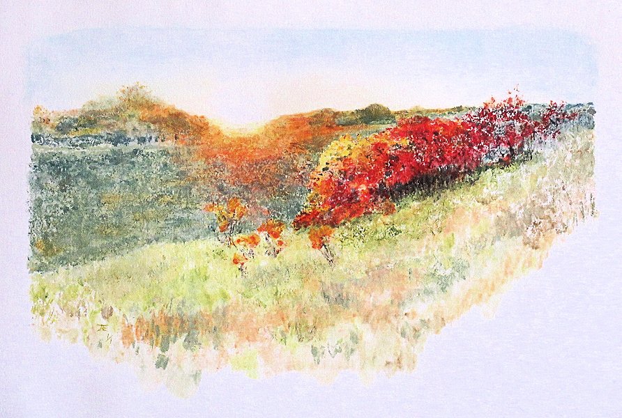 Wild Cherry Bushes - Jane A. Evans