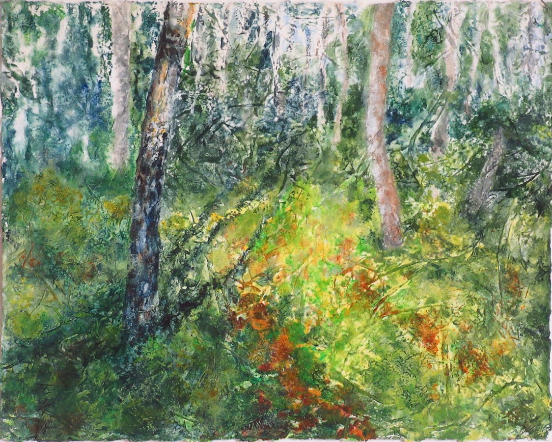 Woods Shadows - Jane A. Evans