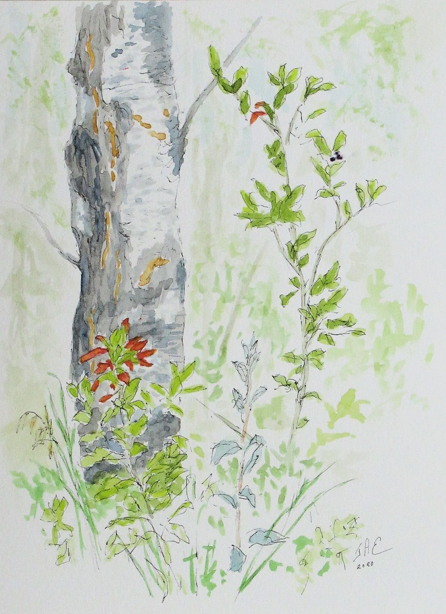 Early Signs of Autumn - Jane A. Evans
