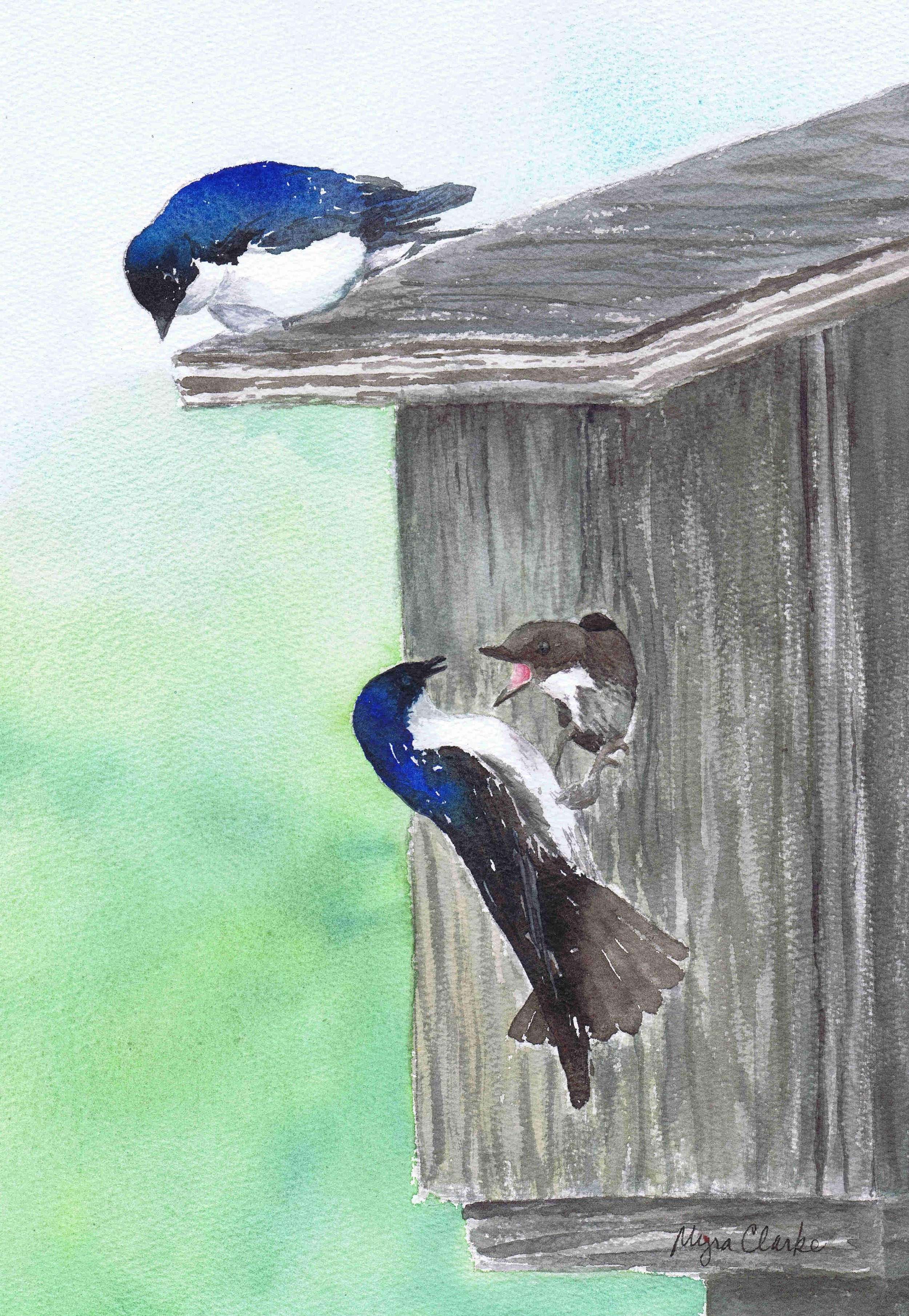 A Family Affair by Myra Clarke