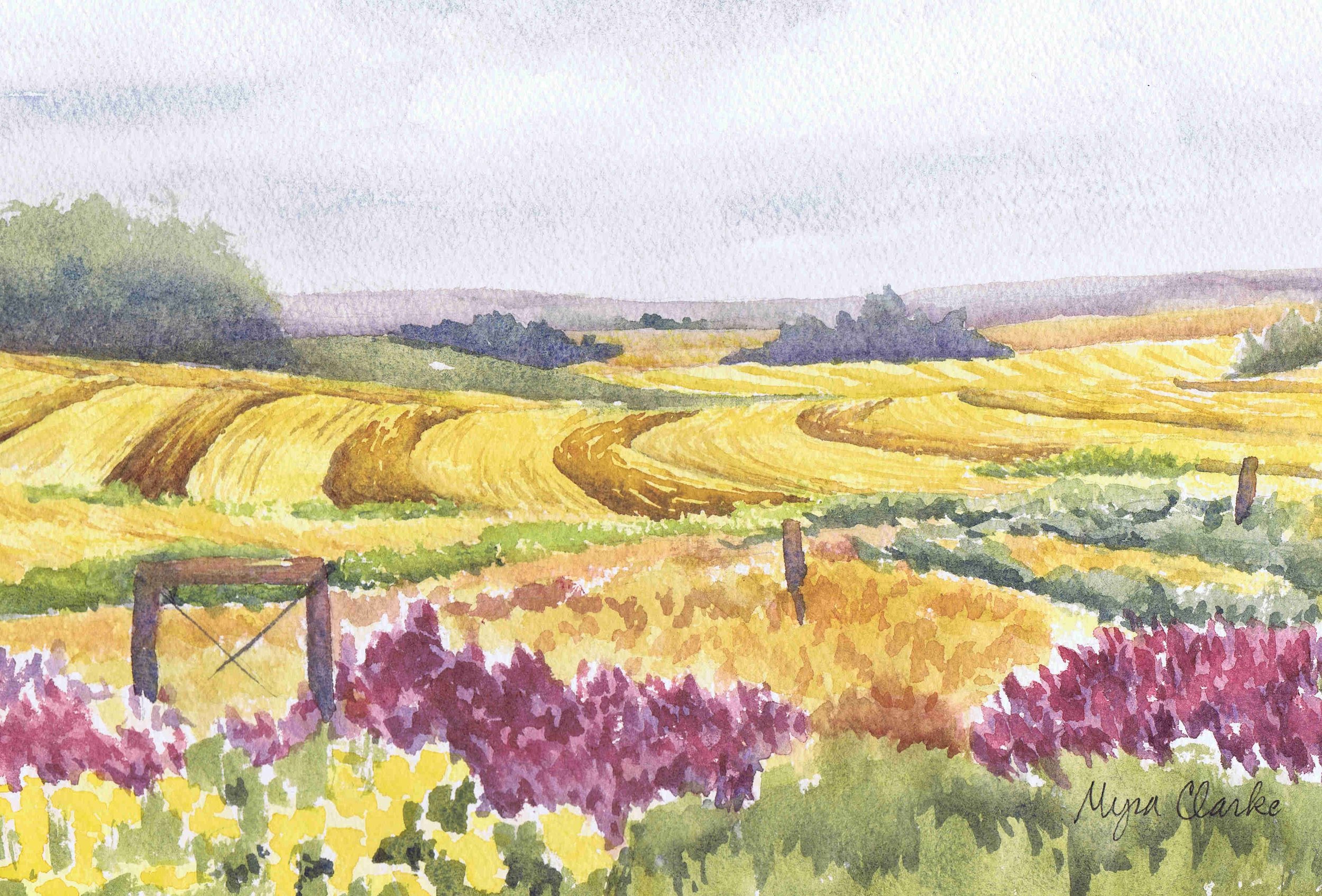 Sunday Drive by Myra Clarke