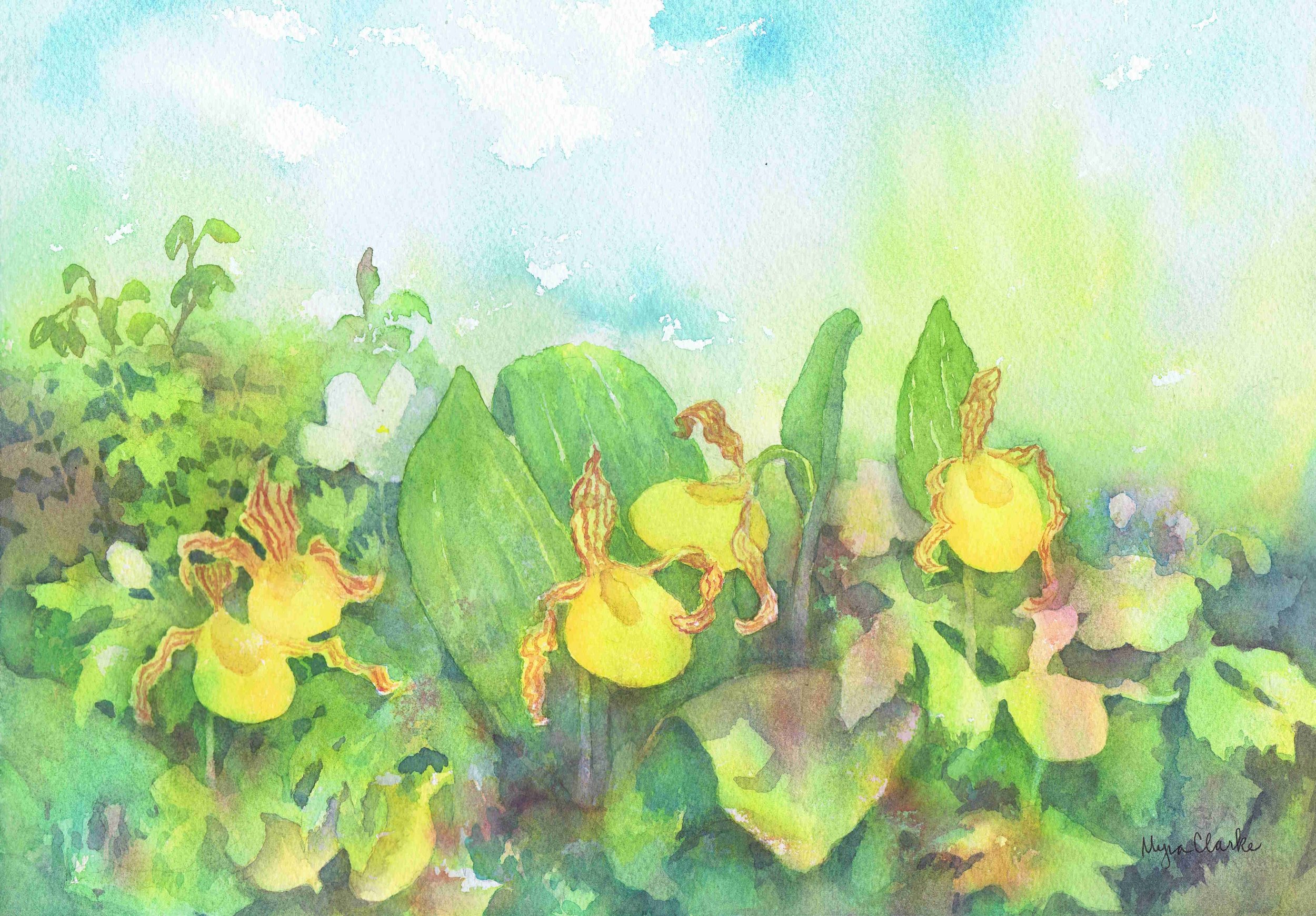 Roadside Attraction by Myra Clarke