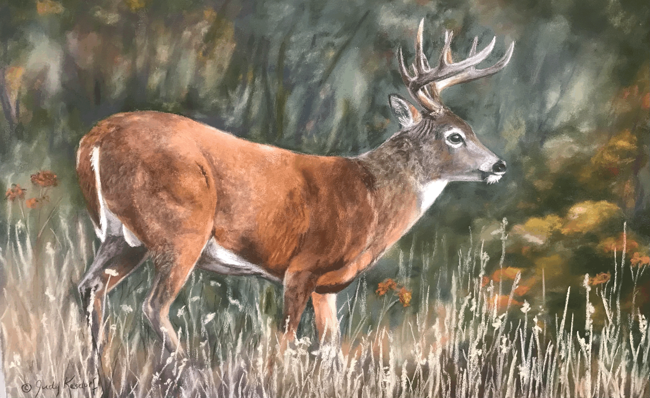 Autumn Splendor by Judy Kasdorf
