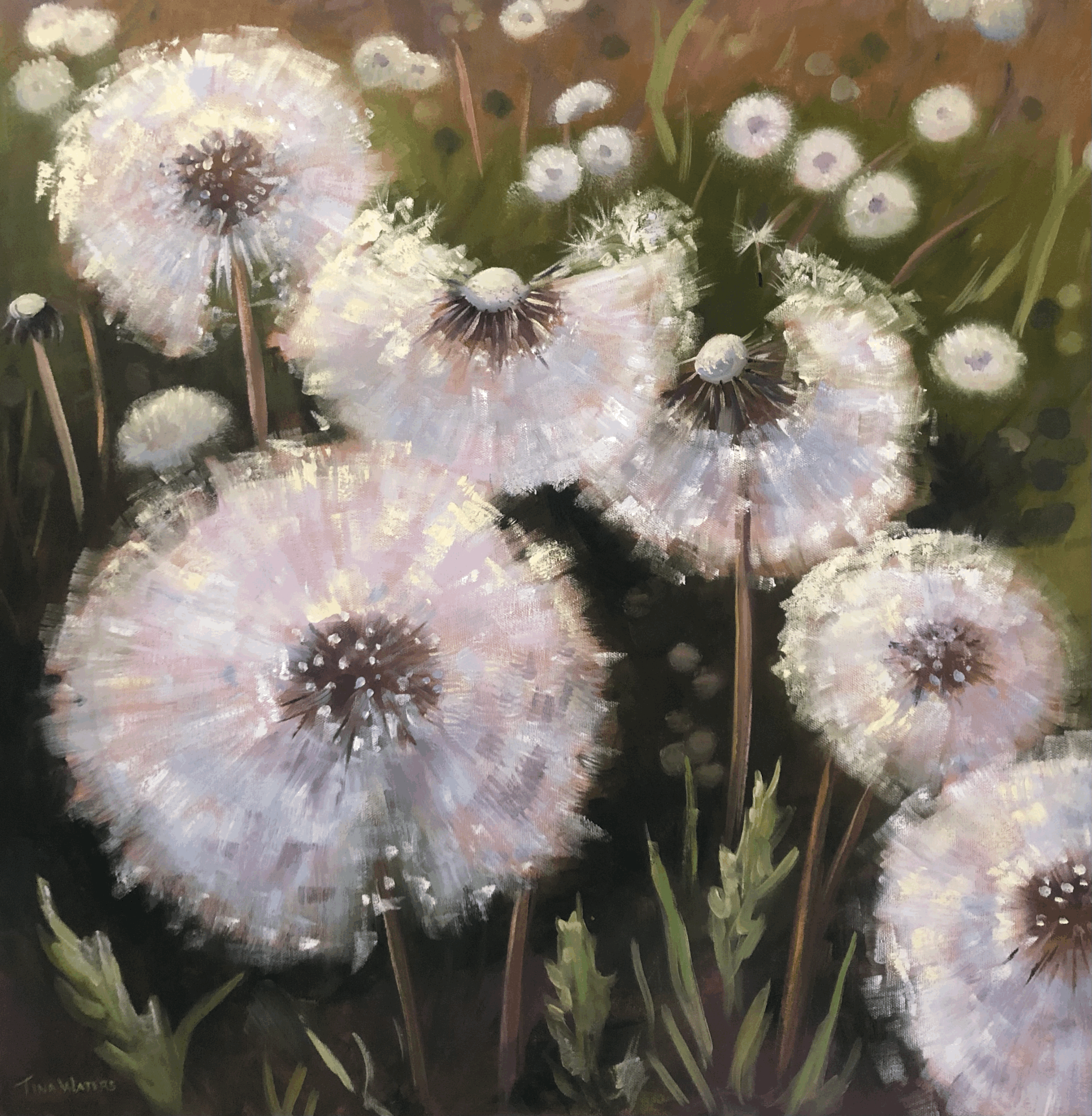 Dandelion Wishes by Tina Waters