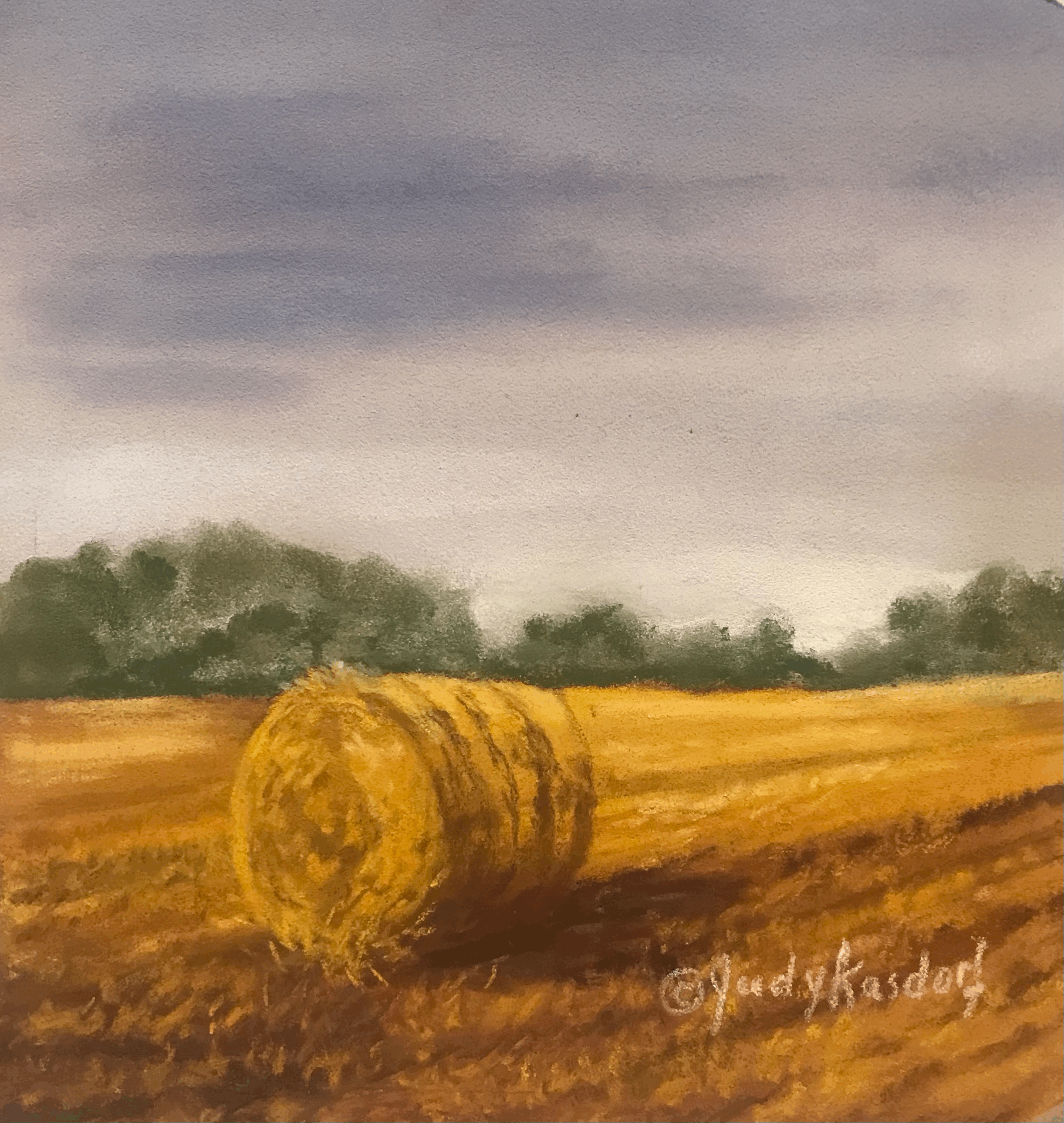 It's a Wrap by Judy Kasdorf