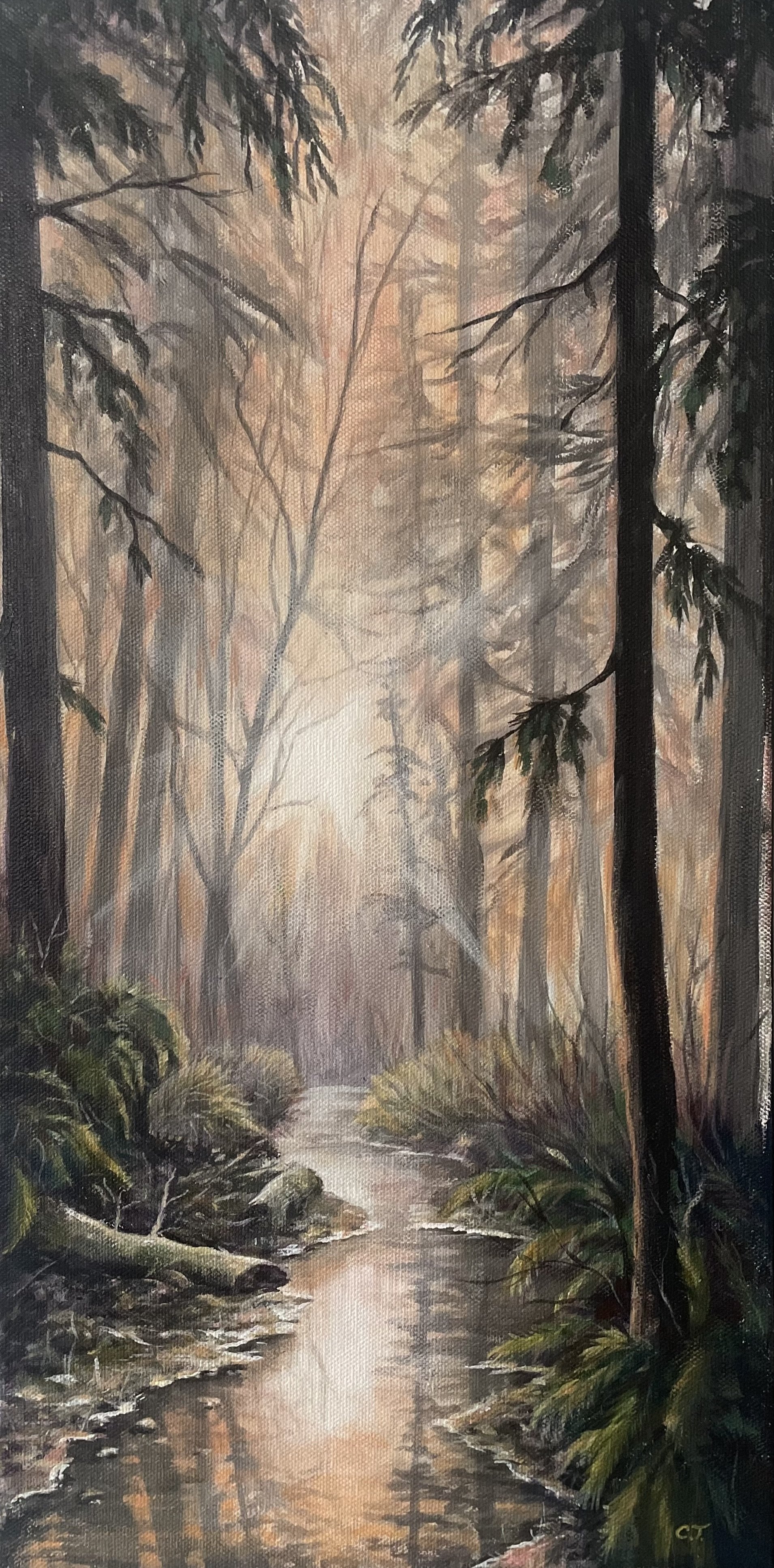 Morning Light by Carla Tyacke