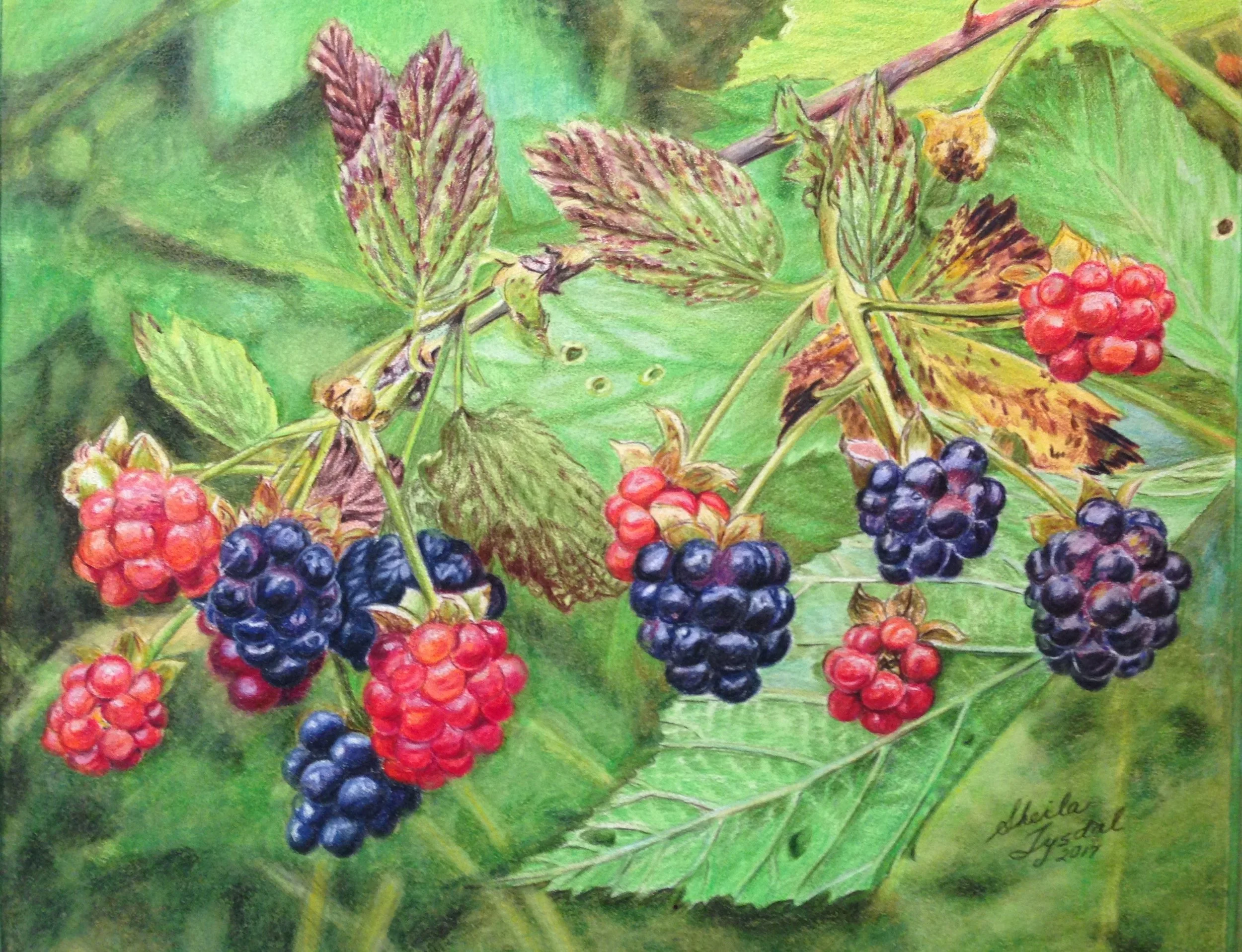 59A413FF-1F58-439A-B6A3-92072F2EDD68.jpeg (Copy)