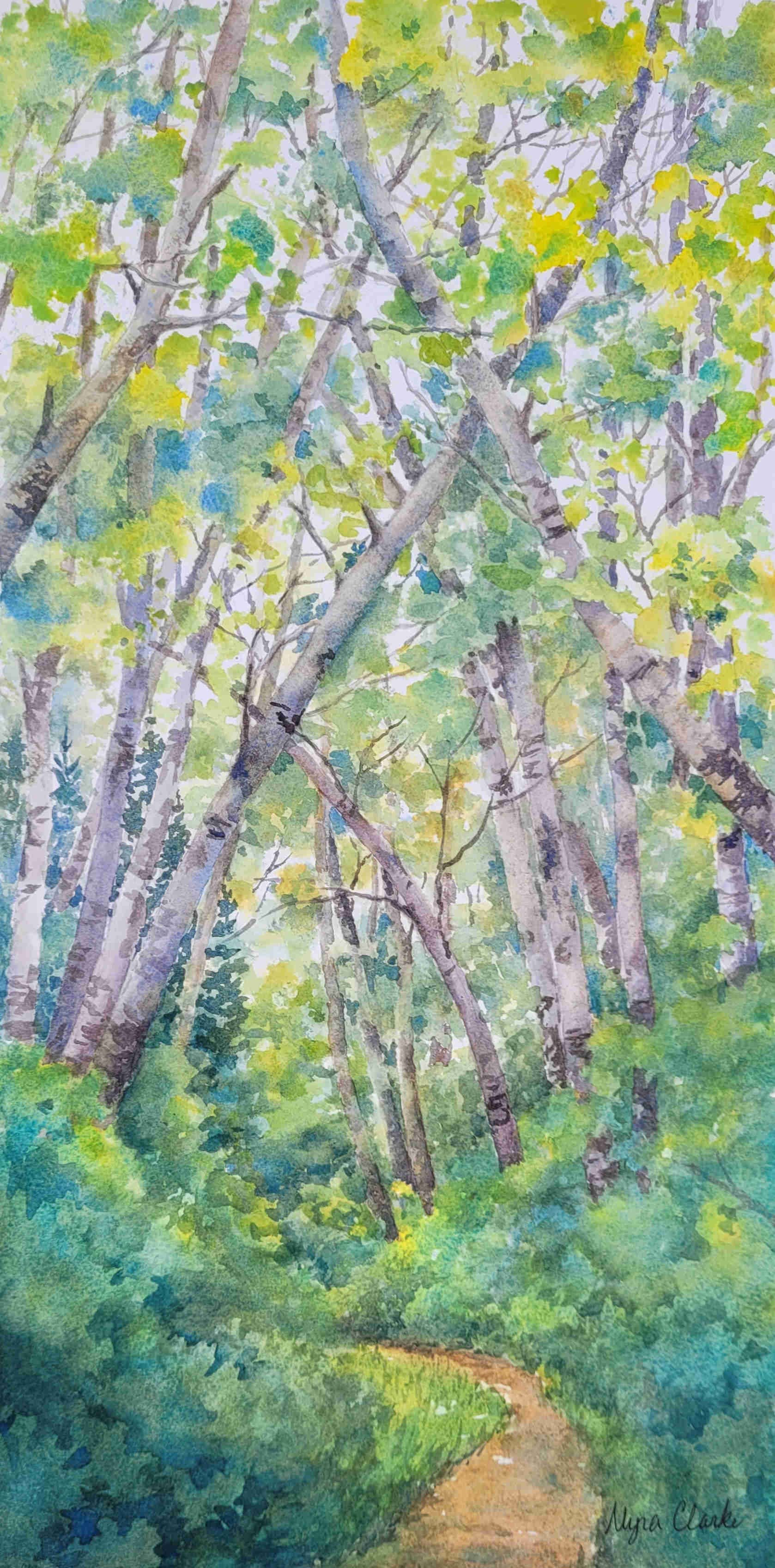Aspen Canopy by Myra Clarke