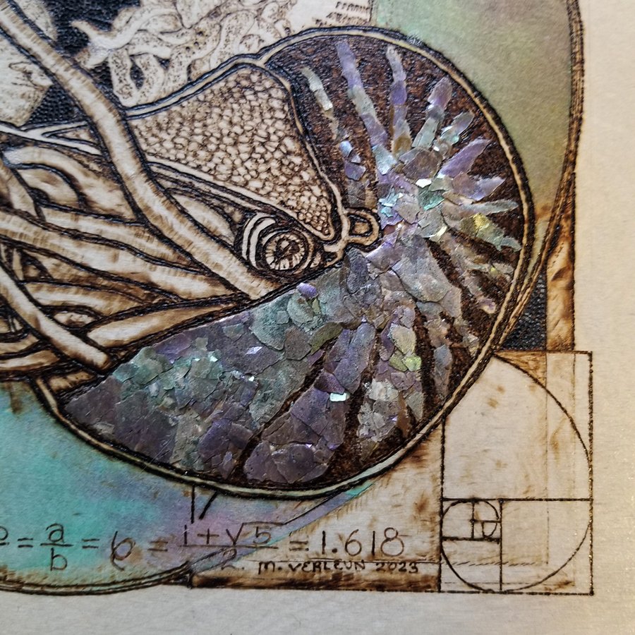 Divine Geometry - Fibonacci Senquence Is Nautali detail 1_web.jpg
