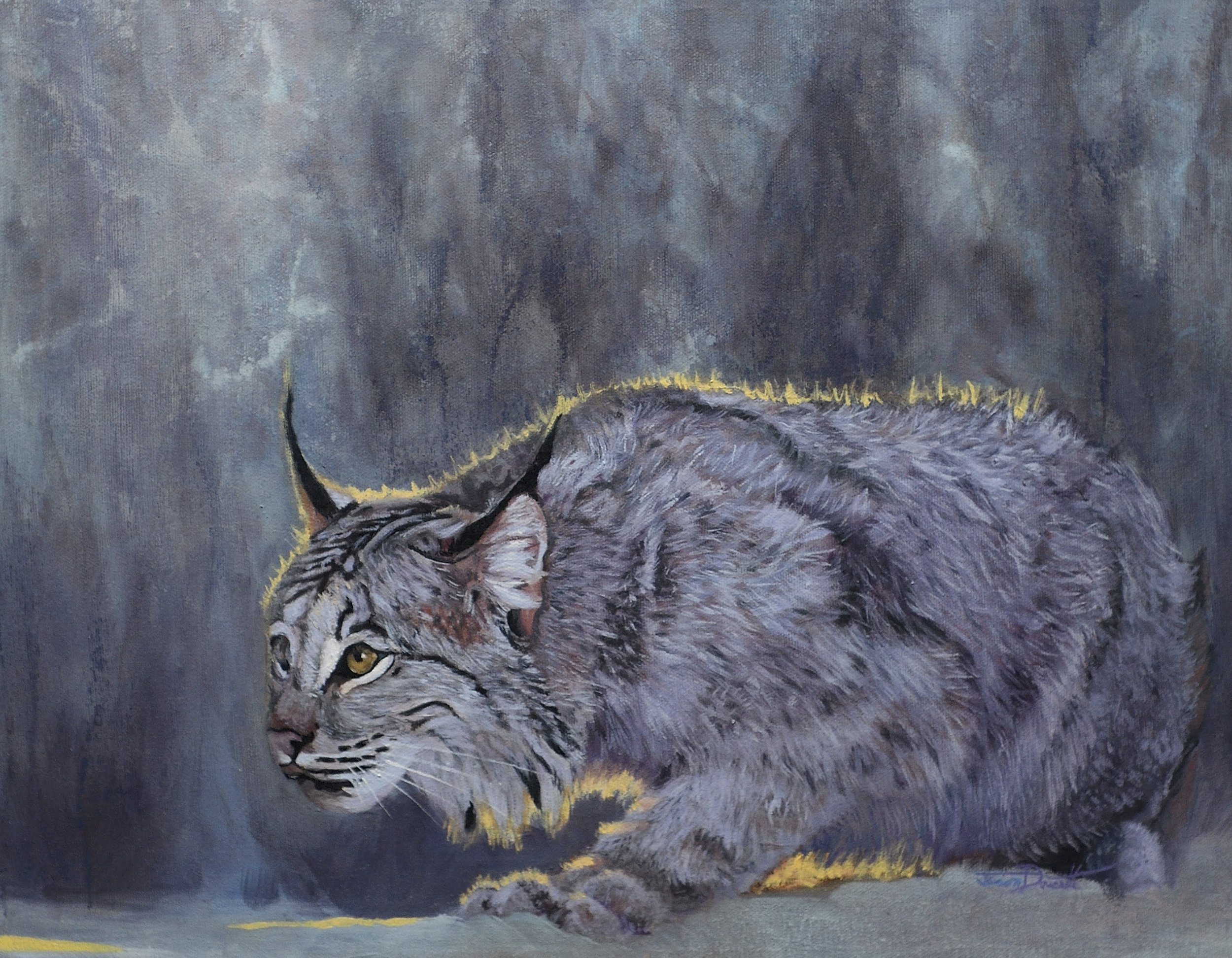 Ready to Pounce by Jason Doucette