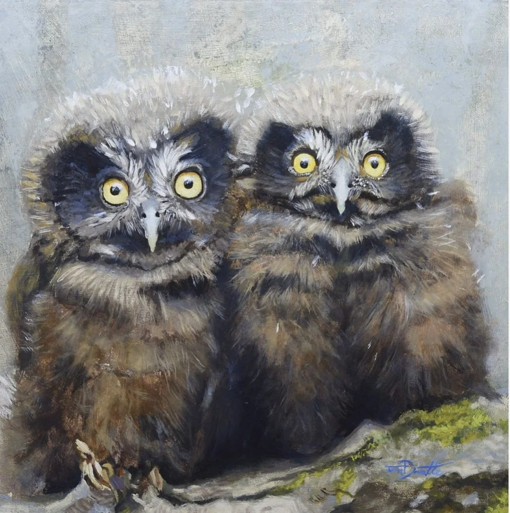 Misty Owls by Jason E. Doucette