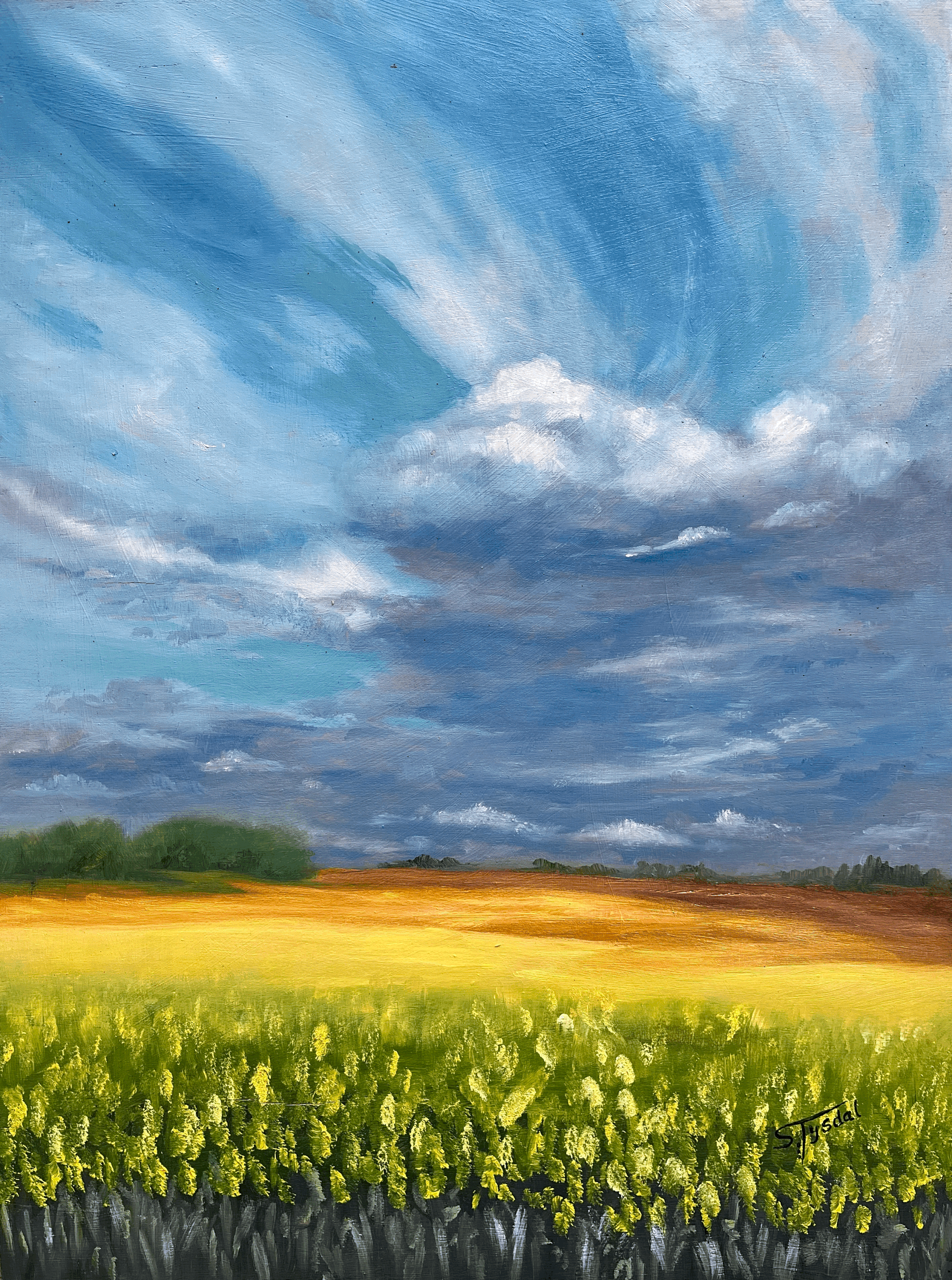 tempImagen2GOqX.gif (Copy) (Copy)