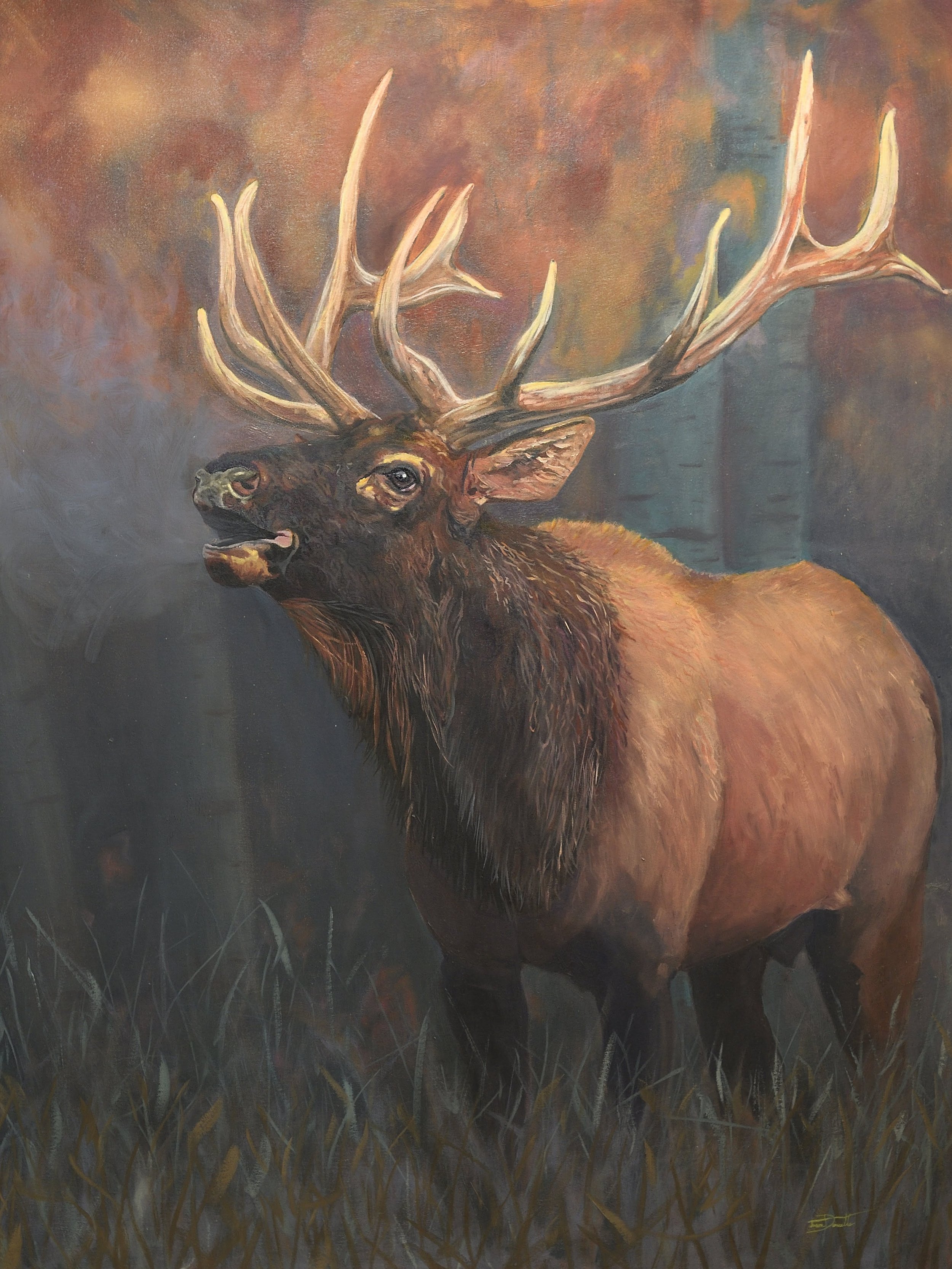 Wapati Bull by Jason E. Doucette