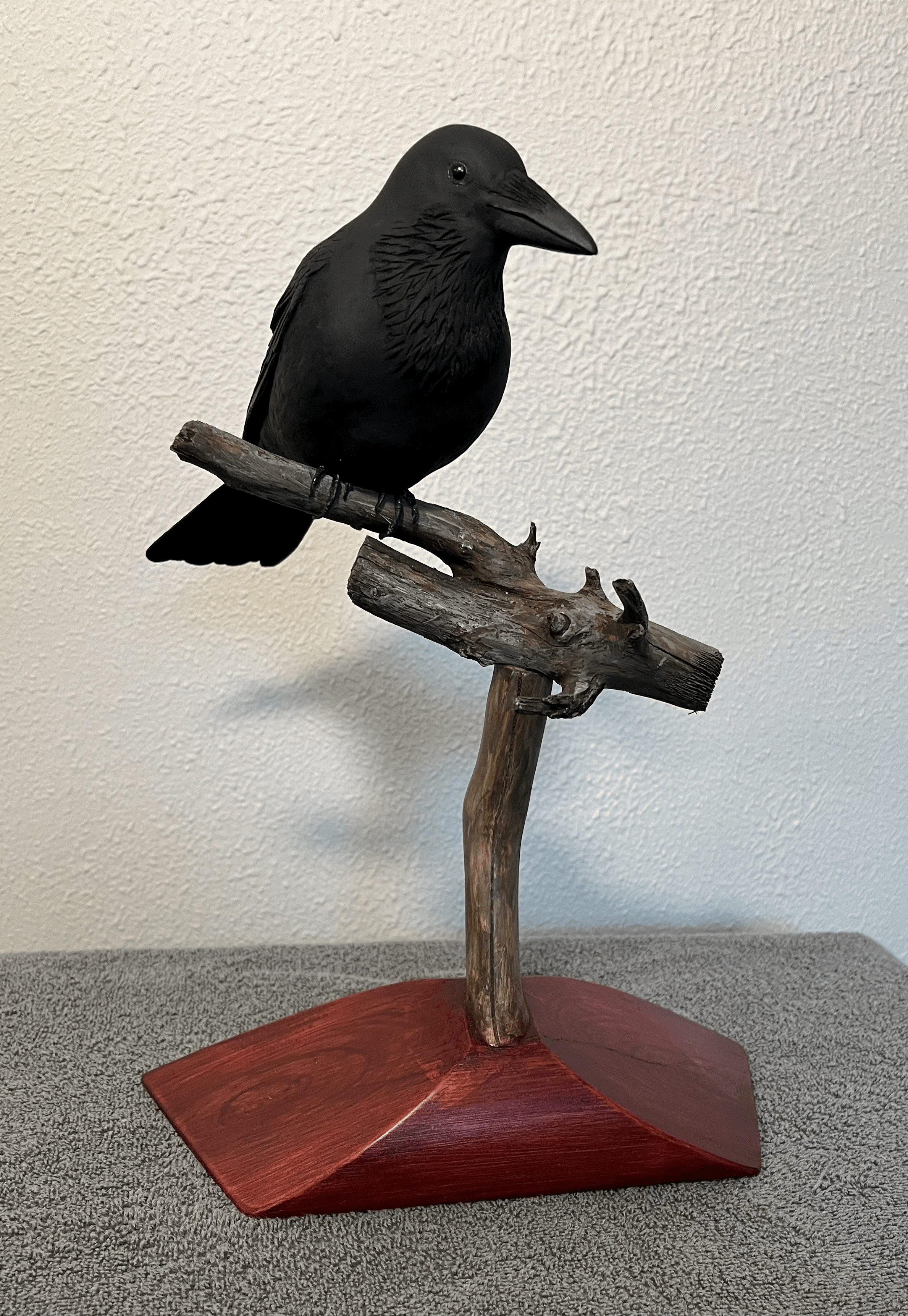Raven by Guy Fehr