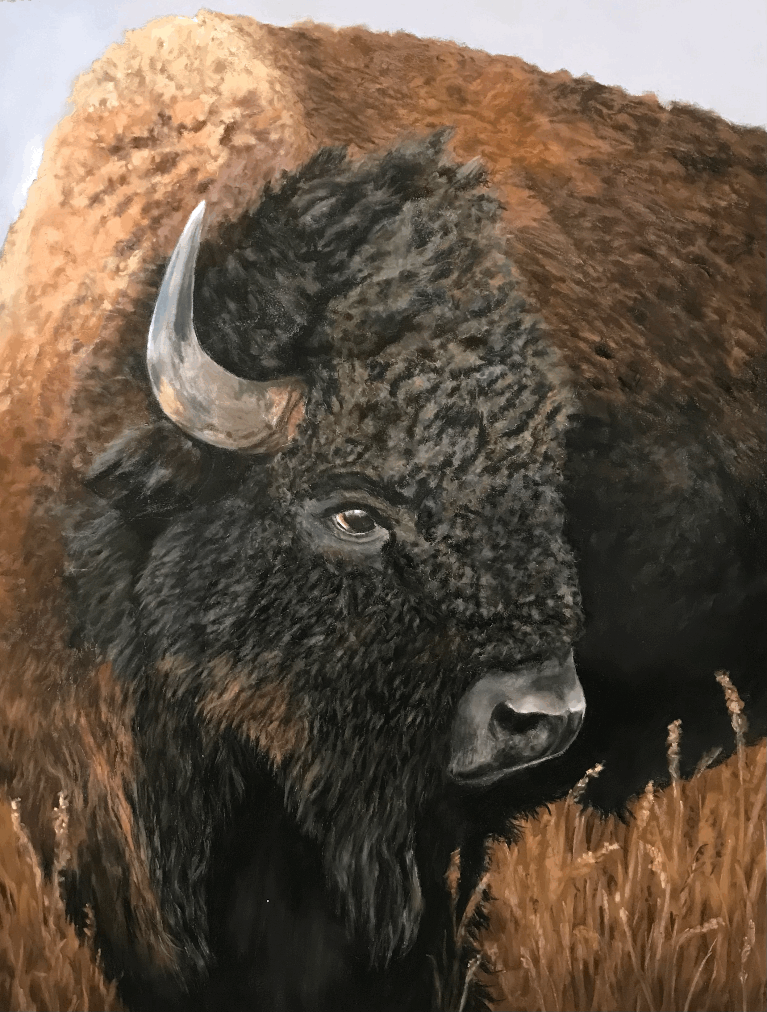 Heart of the Prairies by Judy Kasdorf