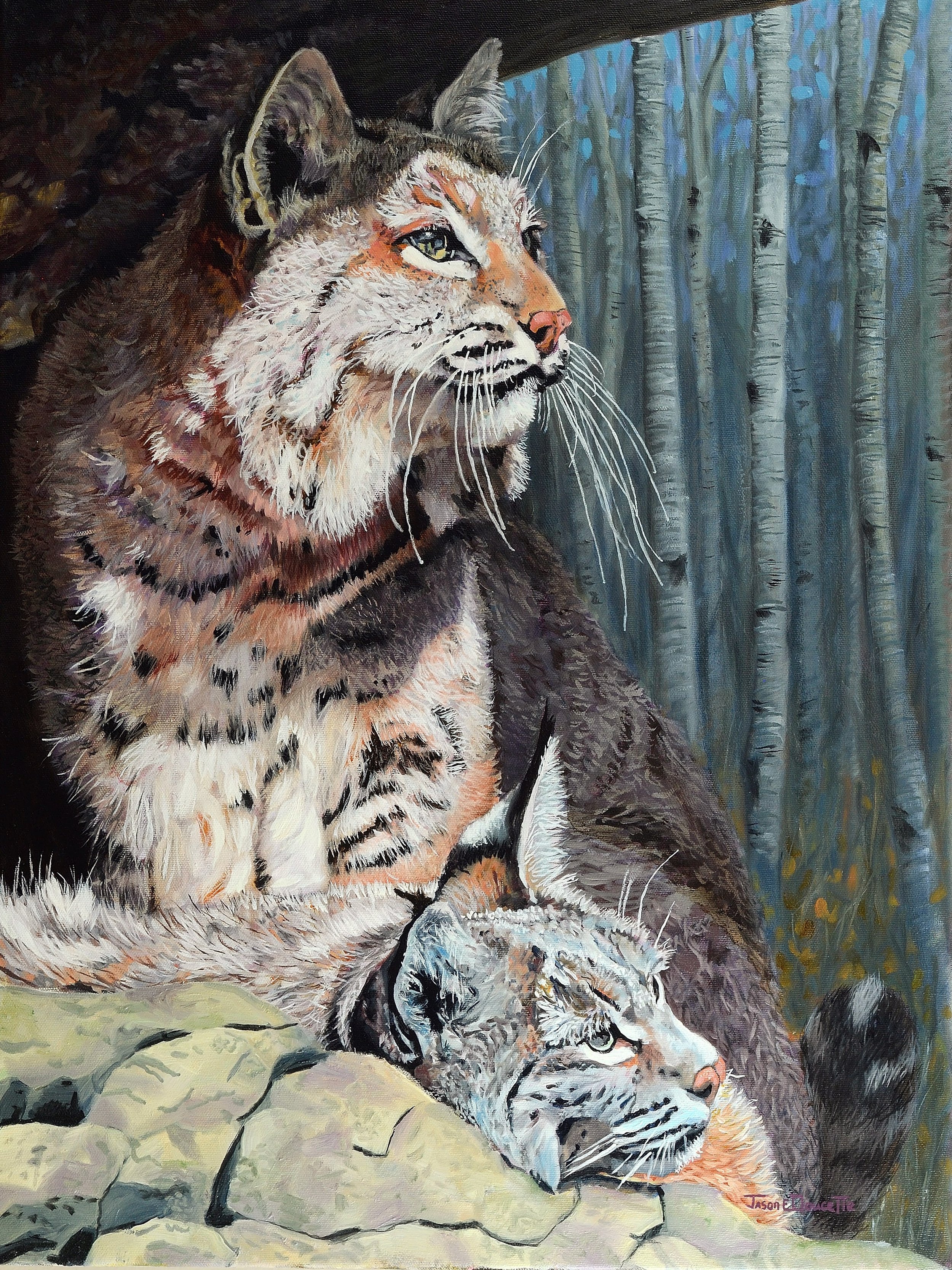 Bobcat's Repose by Jason E. Doucette