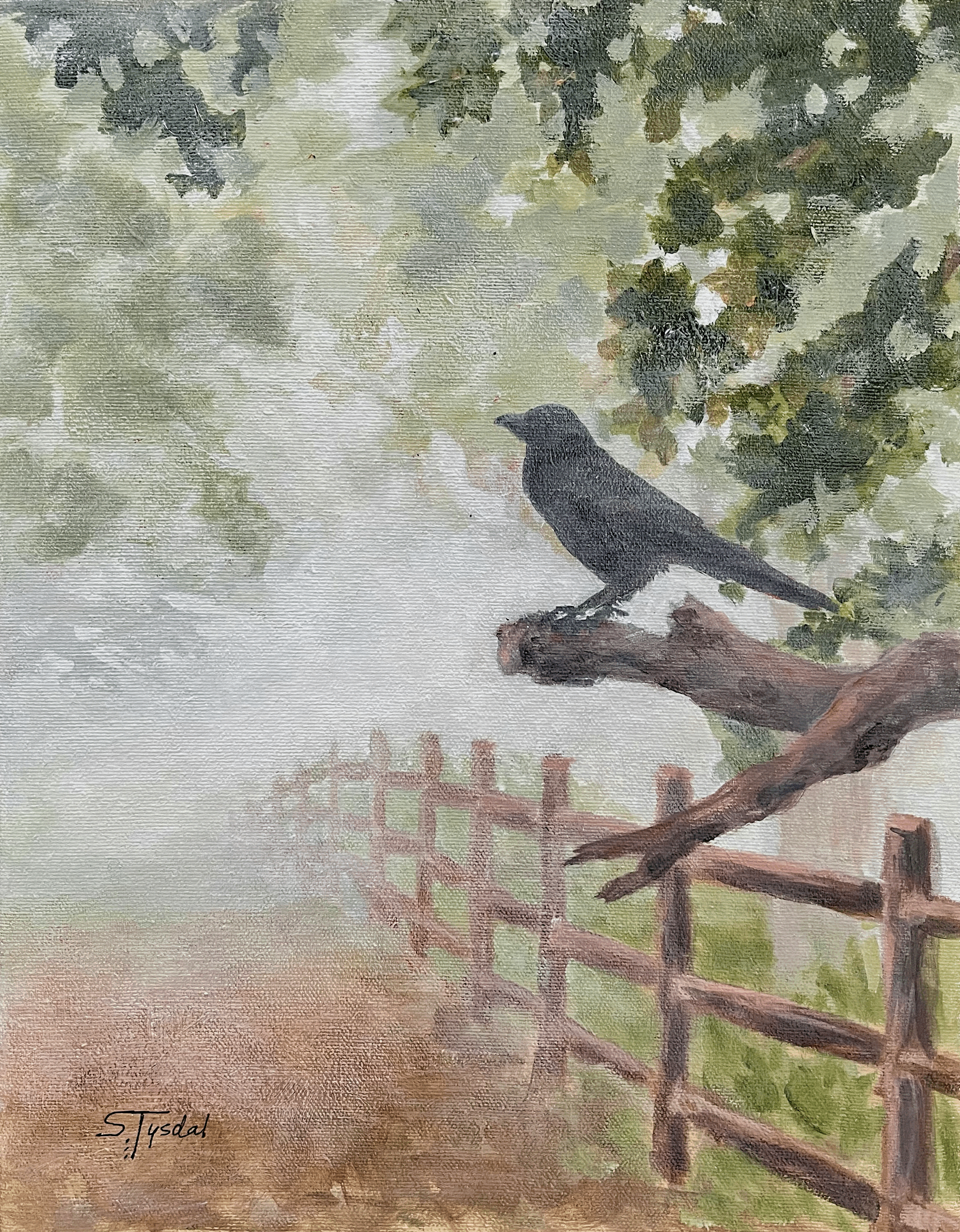 tempImagefUWOKd.gif (Copy) (Copy) (Copy)