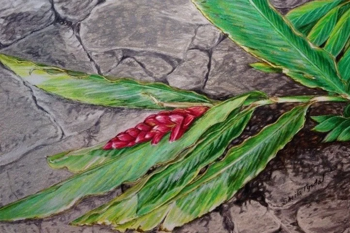 A3A26818-0238-4EAF-9B2B-9A922B7A826B.jpeg (Copy)