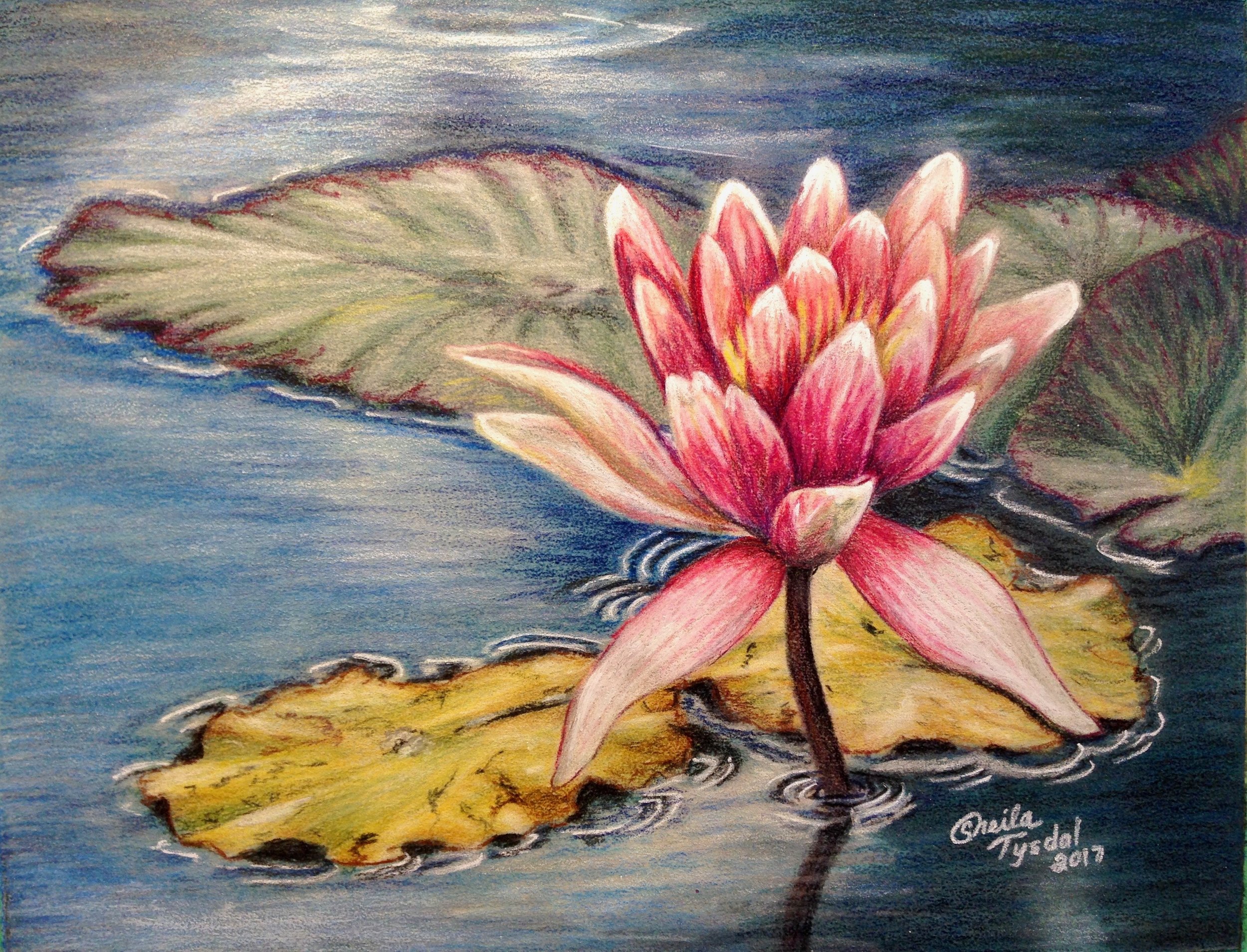 81A96E9E-6B19-4522-8E05-A0E894C802DE.jpeg (Copy)