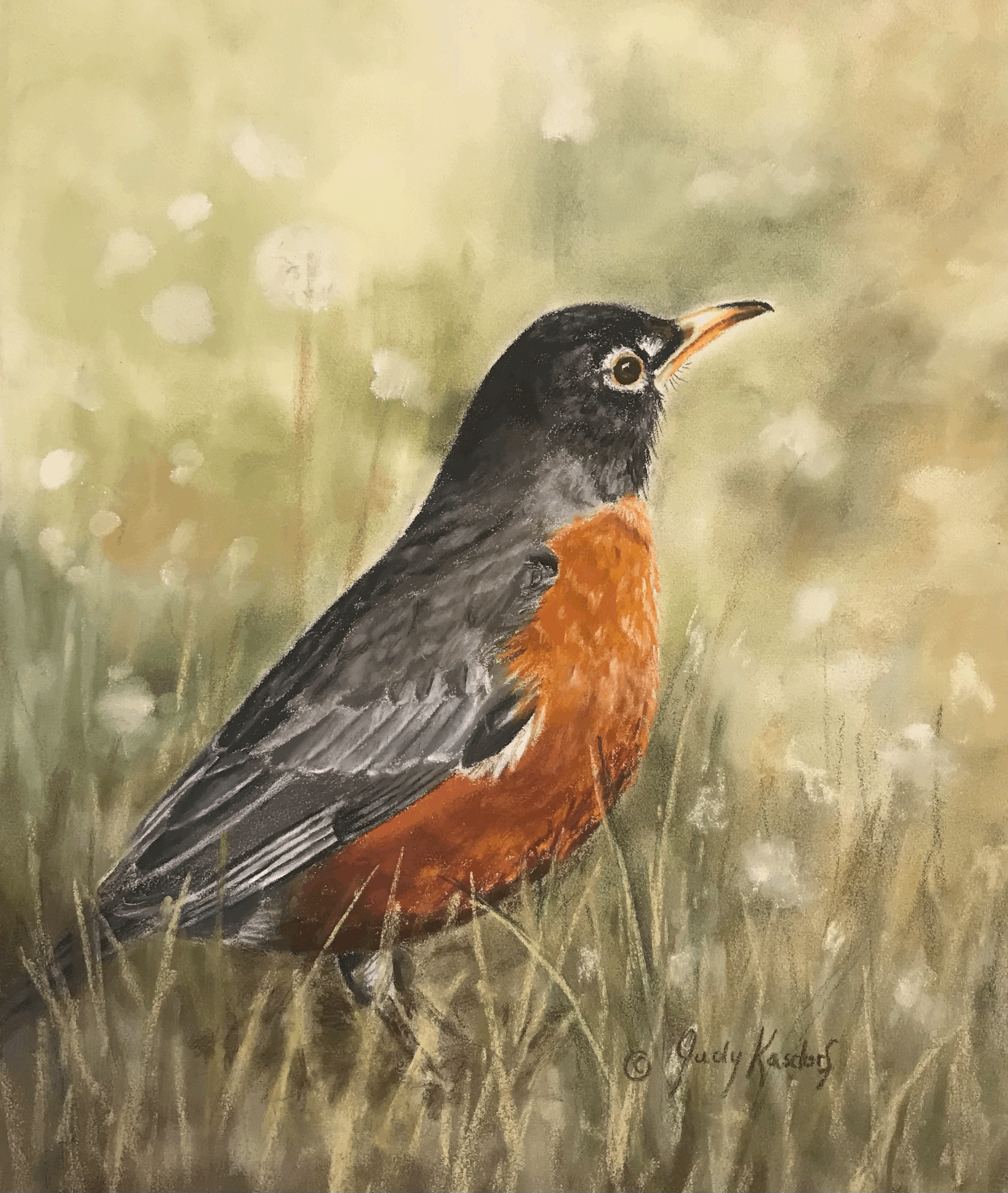 When a Loved One is Near a Robin Will Appear by Judy Kasdorf