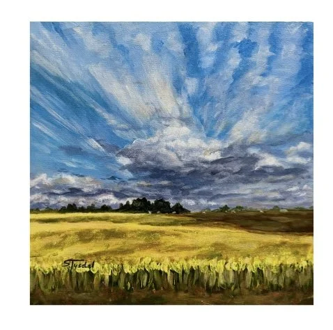 Canola and Sky by Sheila Tysdal